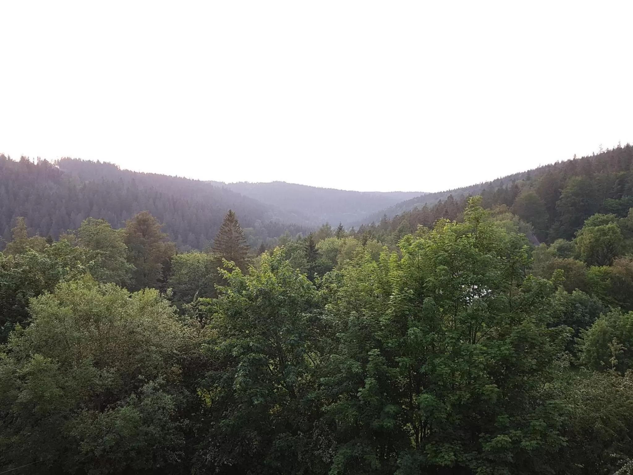 Natural landscape in Erzgebirgshotel Misnia Bärenfels