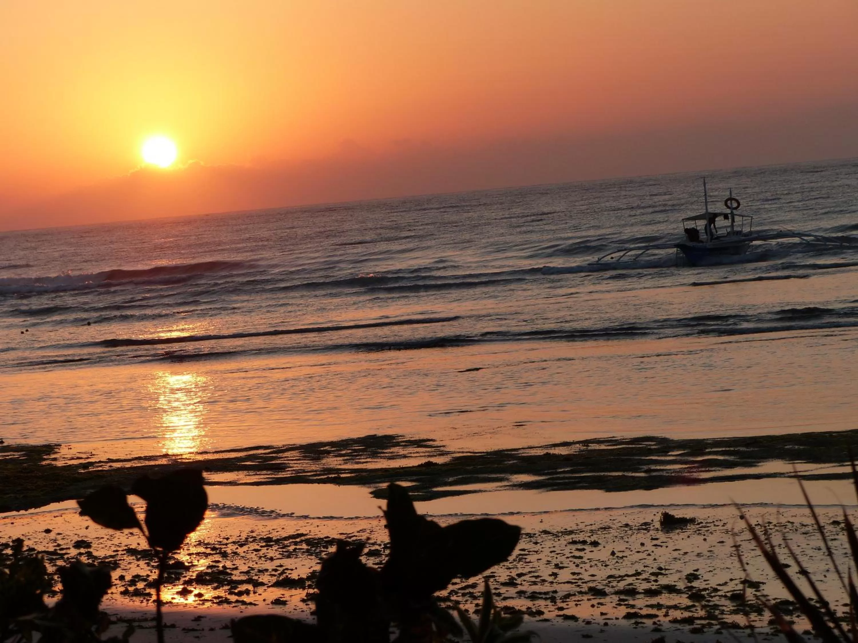 Beach in D & B BLUESTAR BEACH RESORT