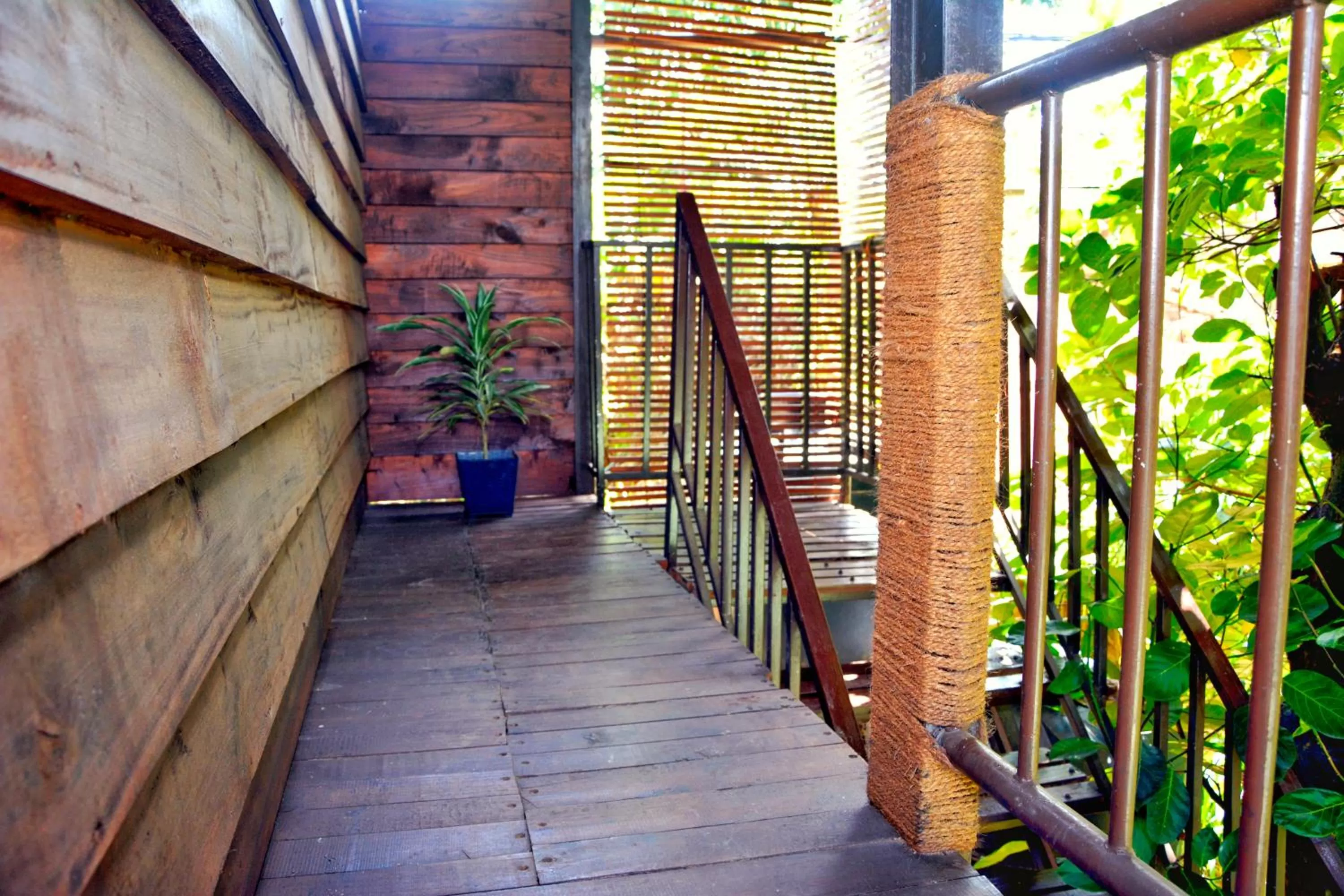 Balcony/Terrace in Madushanka Resort