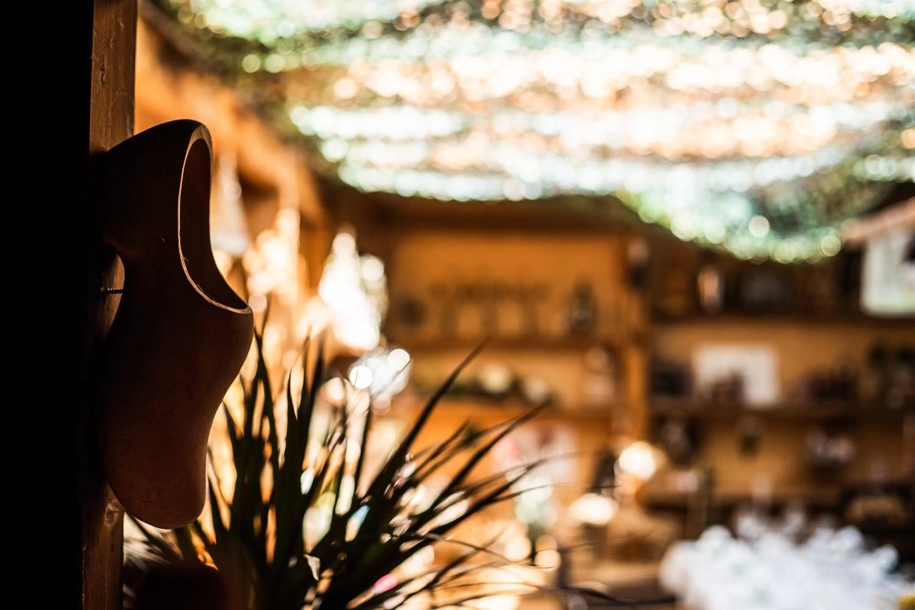 Balcony/Terrace in Hotel-Hauensteiner-Hof