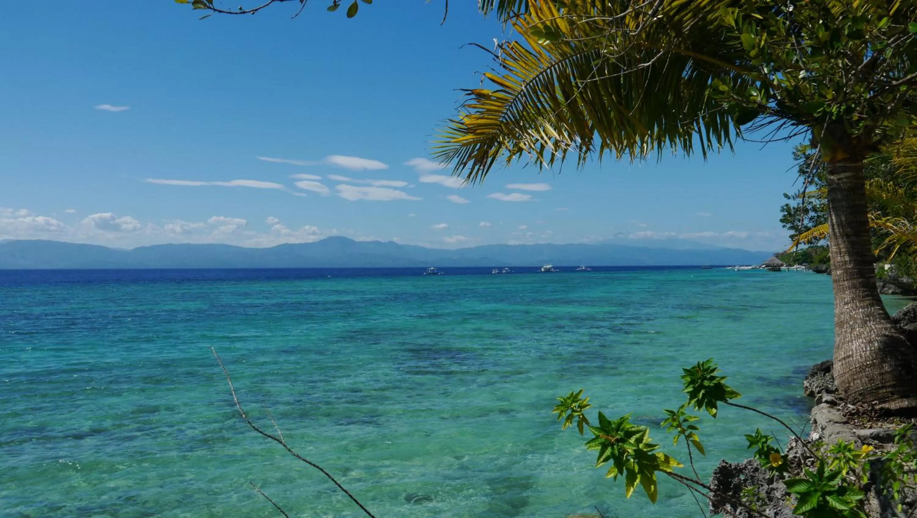 Sea view in Moalboal T Breeze Coastal Resort