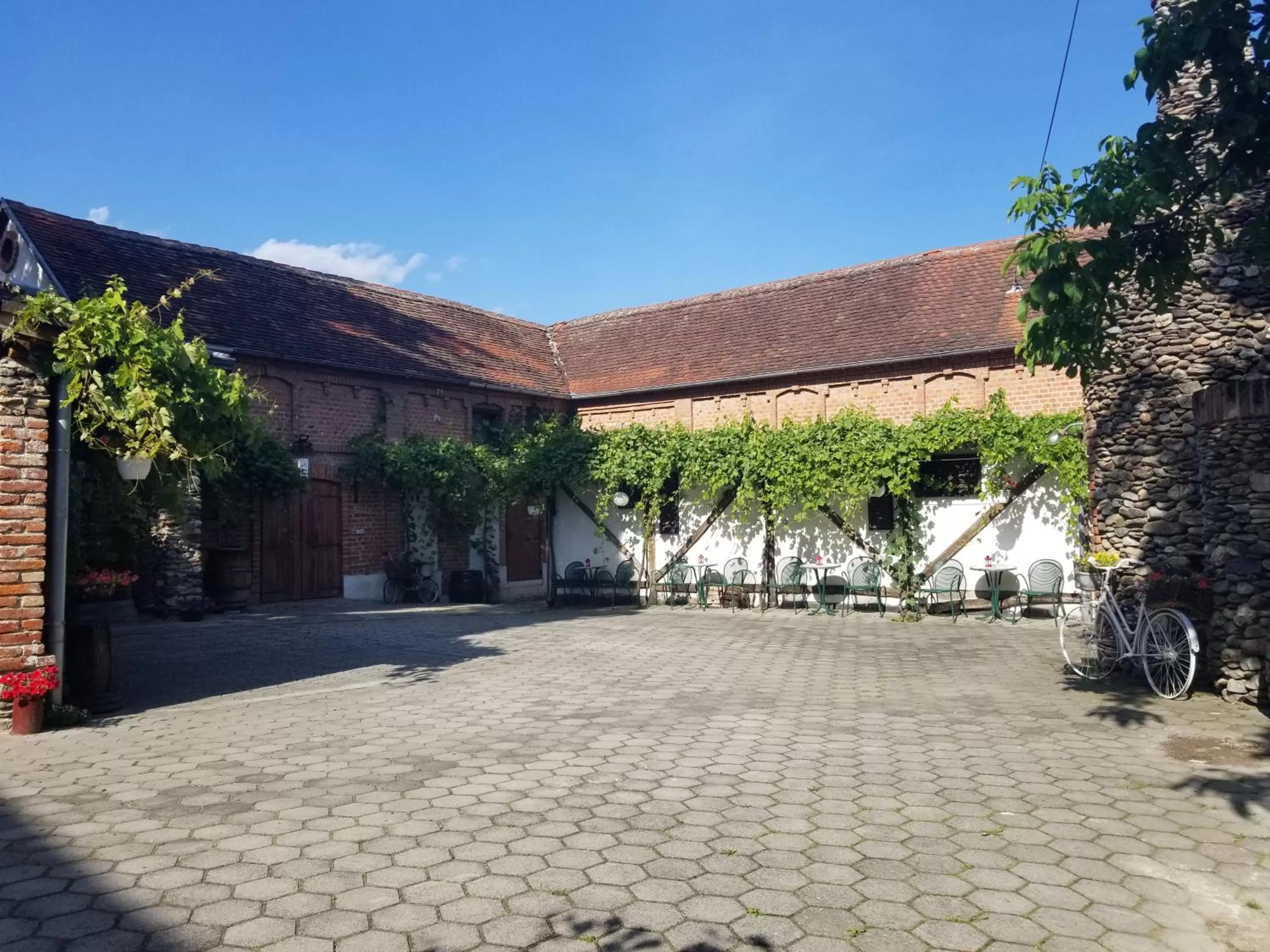 Garden view, Property Building in Wellness B&B Winery Sontacchi