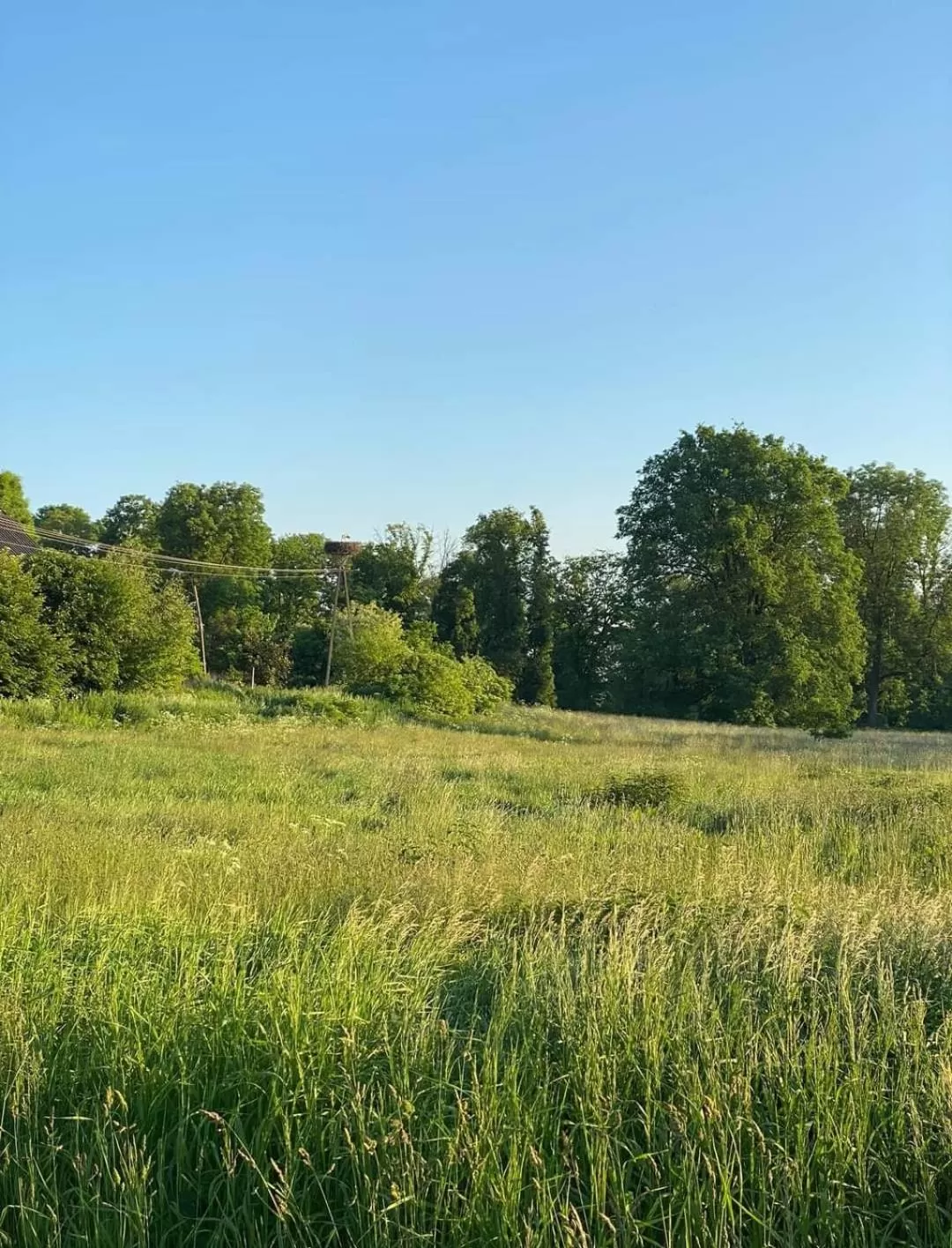 Natural Landscape in Gospoda Pazibroda