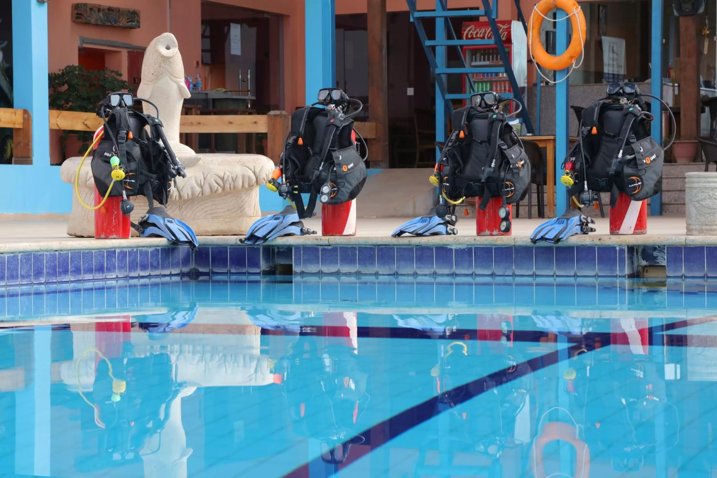 Snorkeling, Swimming Pool in Aqaba Adventure Divers Resort & Dive Center