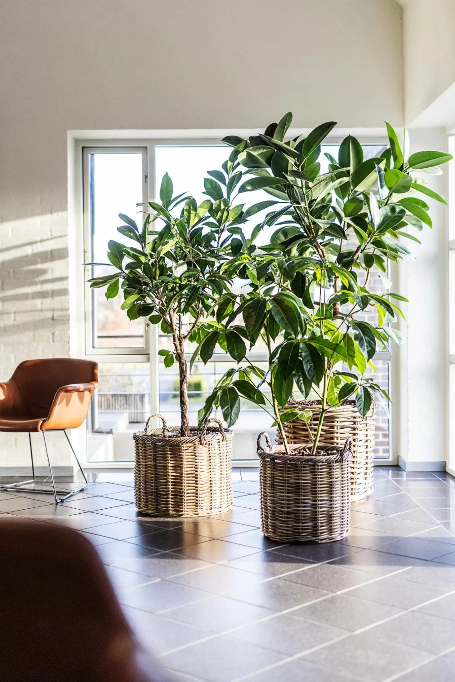 Lobby or reception in The Lodge Billund