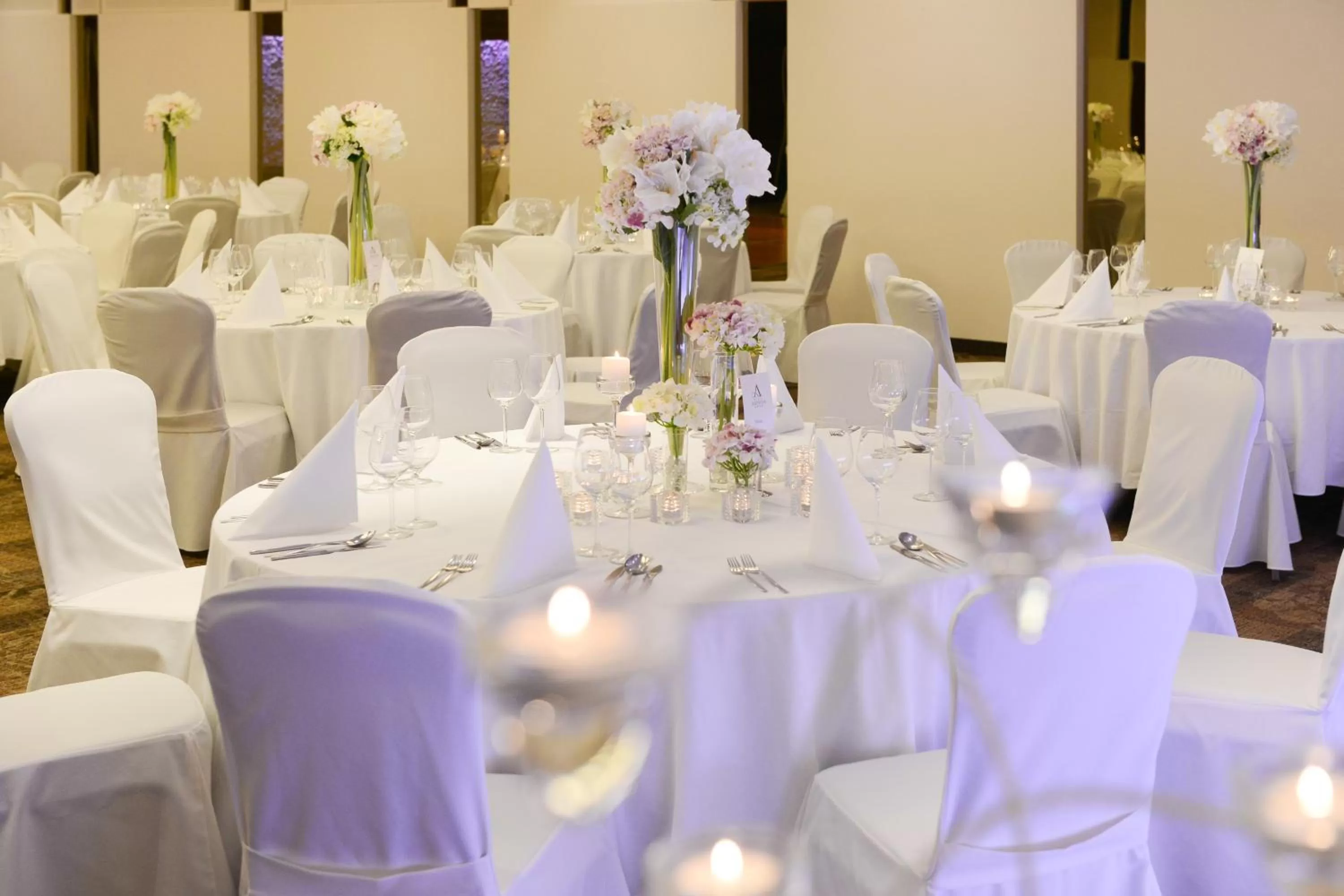 Banquet/Function facilities in Hotel Aristos
