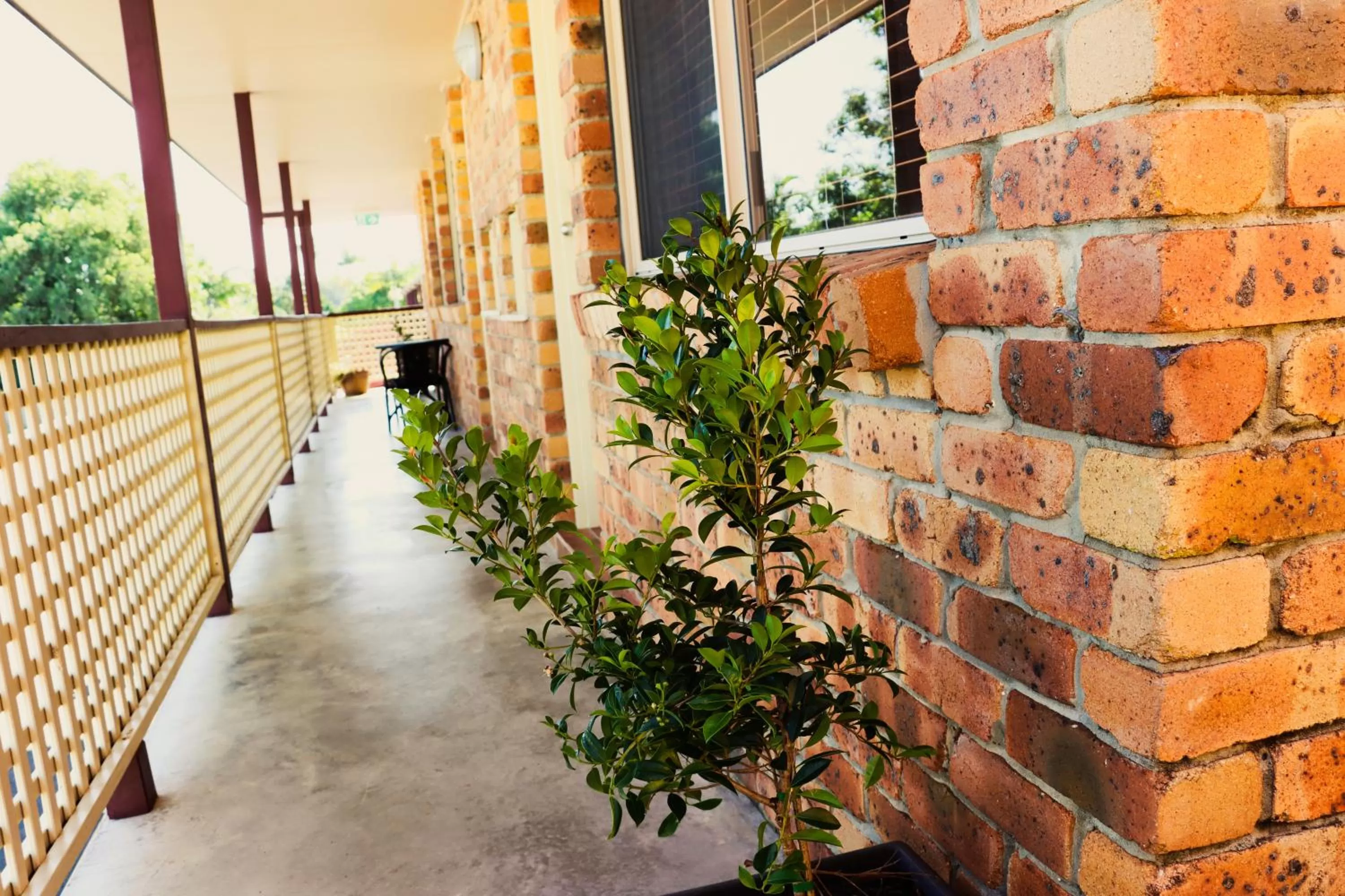 Kennedy Drive Boutique Motel - Close To City Centre & Airport