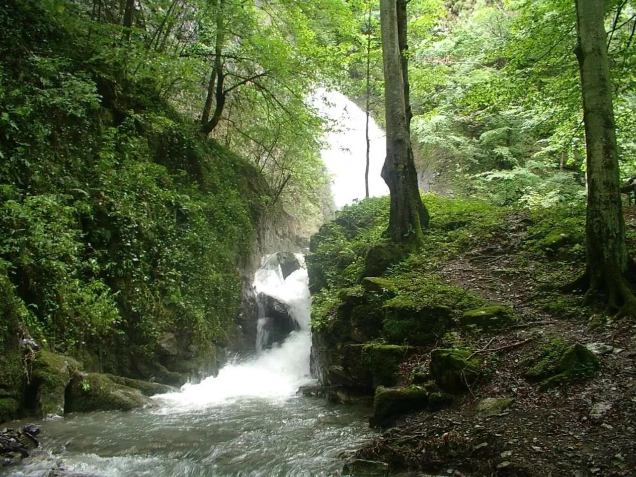 Natural Landscape in Family Hotel Teteven