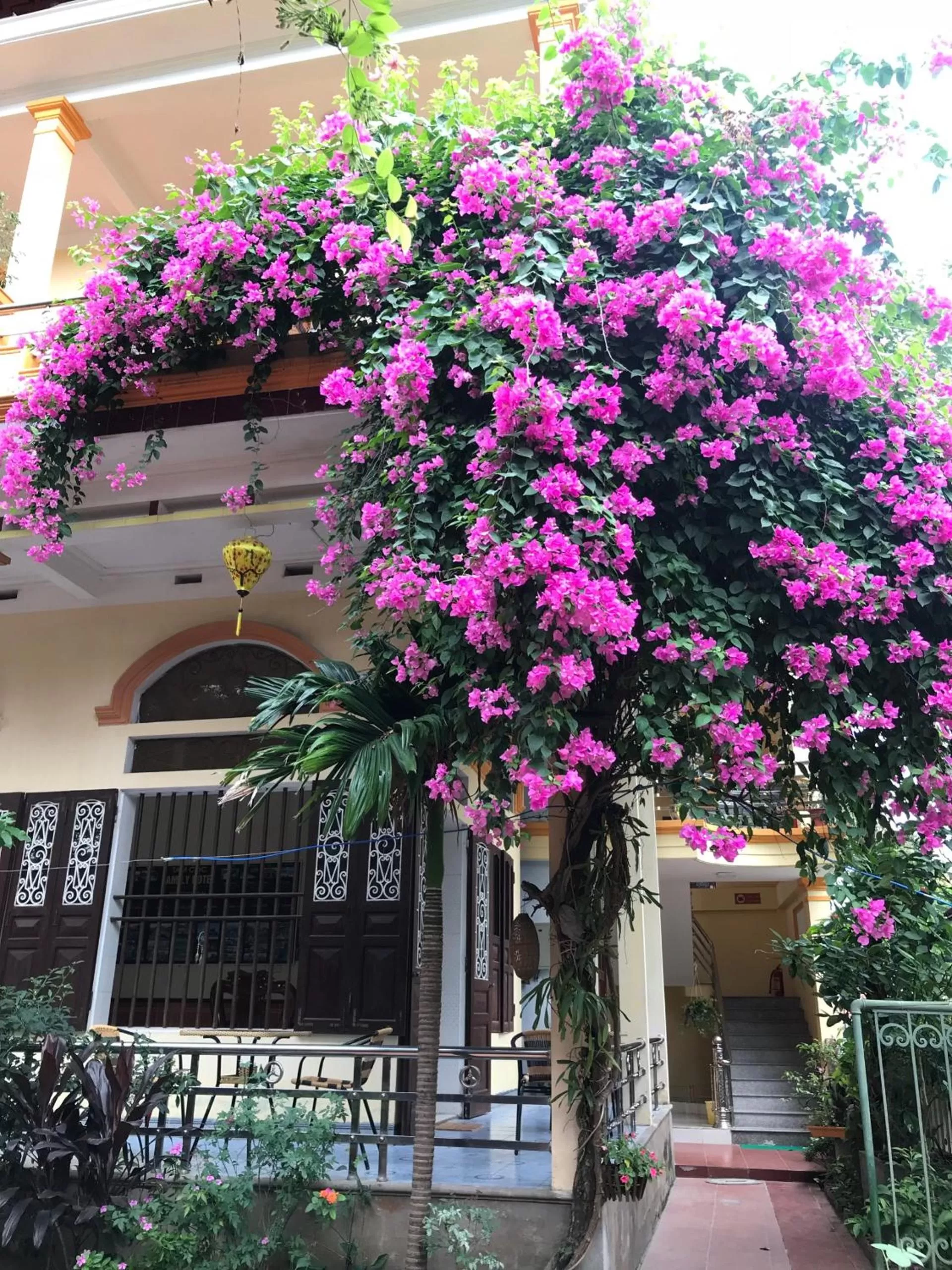 Tam Coc Family Hotel