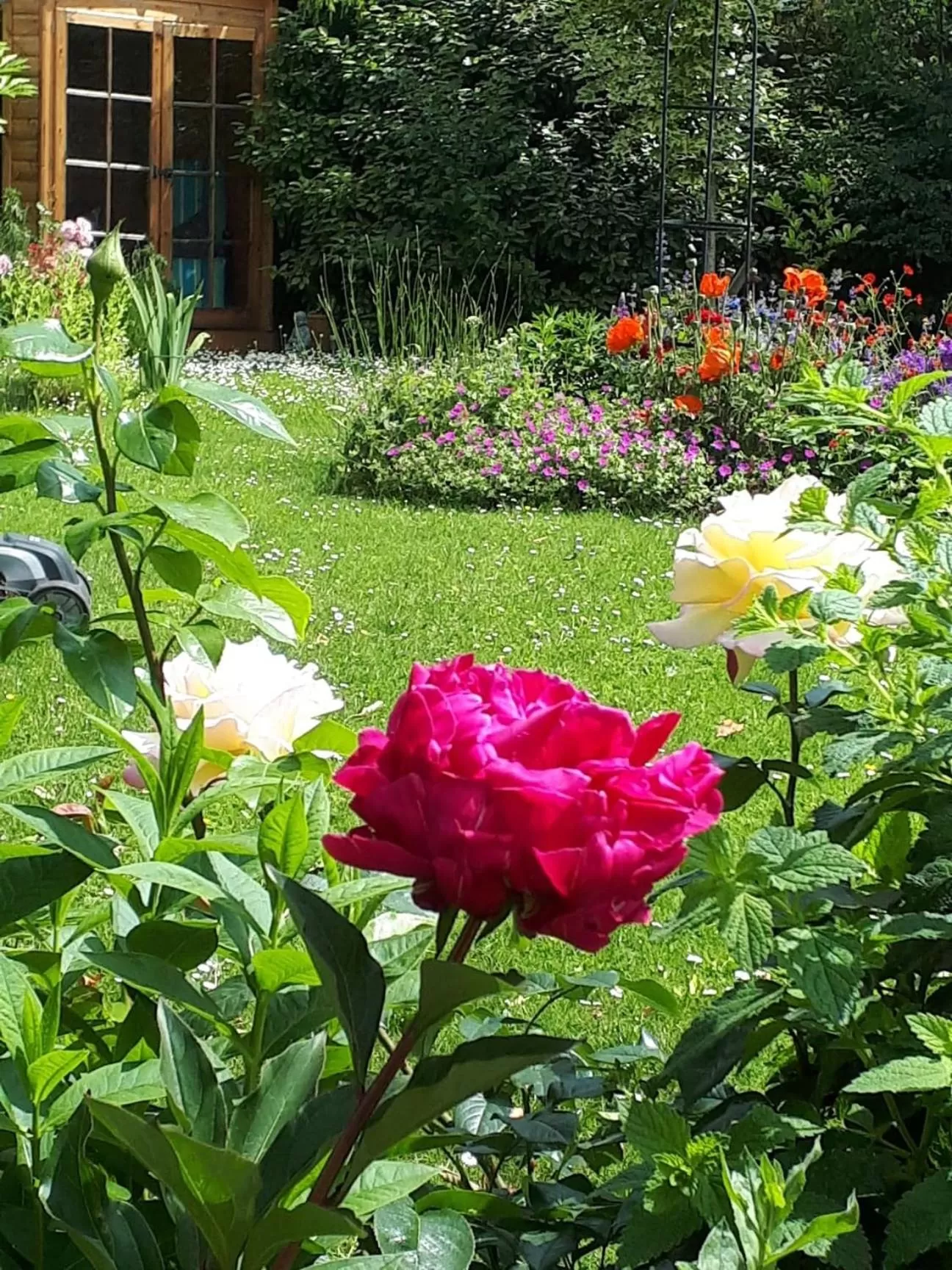 Summer in Santi Bhavana Bed & Breakfast