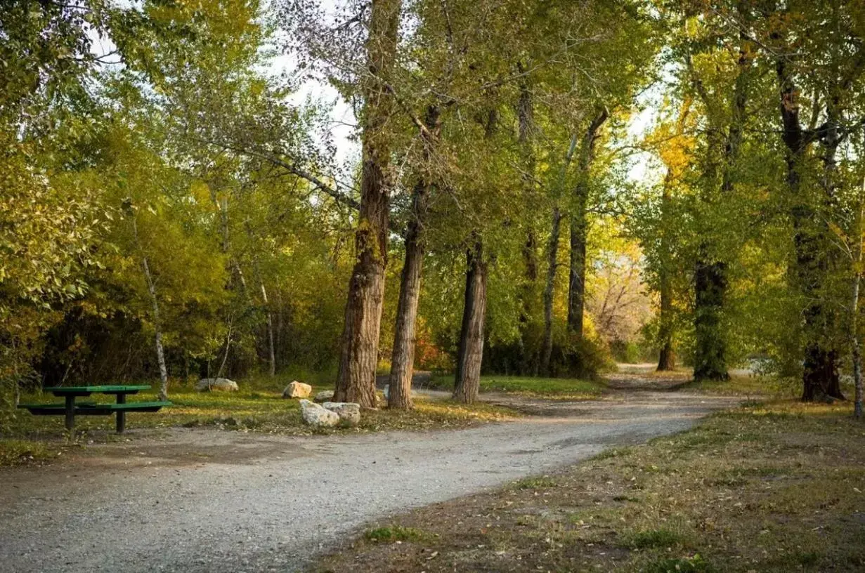 Queen Room with Two Queen Beds and Mountain View in The Stagecoach Inn Queen Room with Two Queen Beds and Mountain View in The Stagecoach Inn