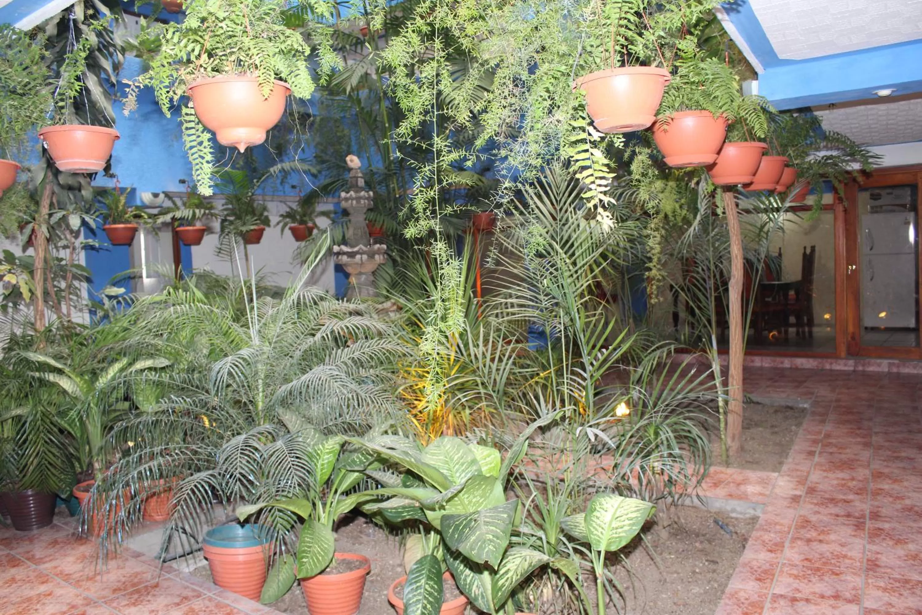 Garden in hotel kasa kamelot 2