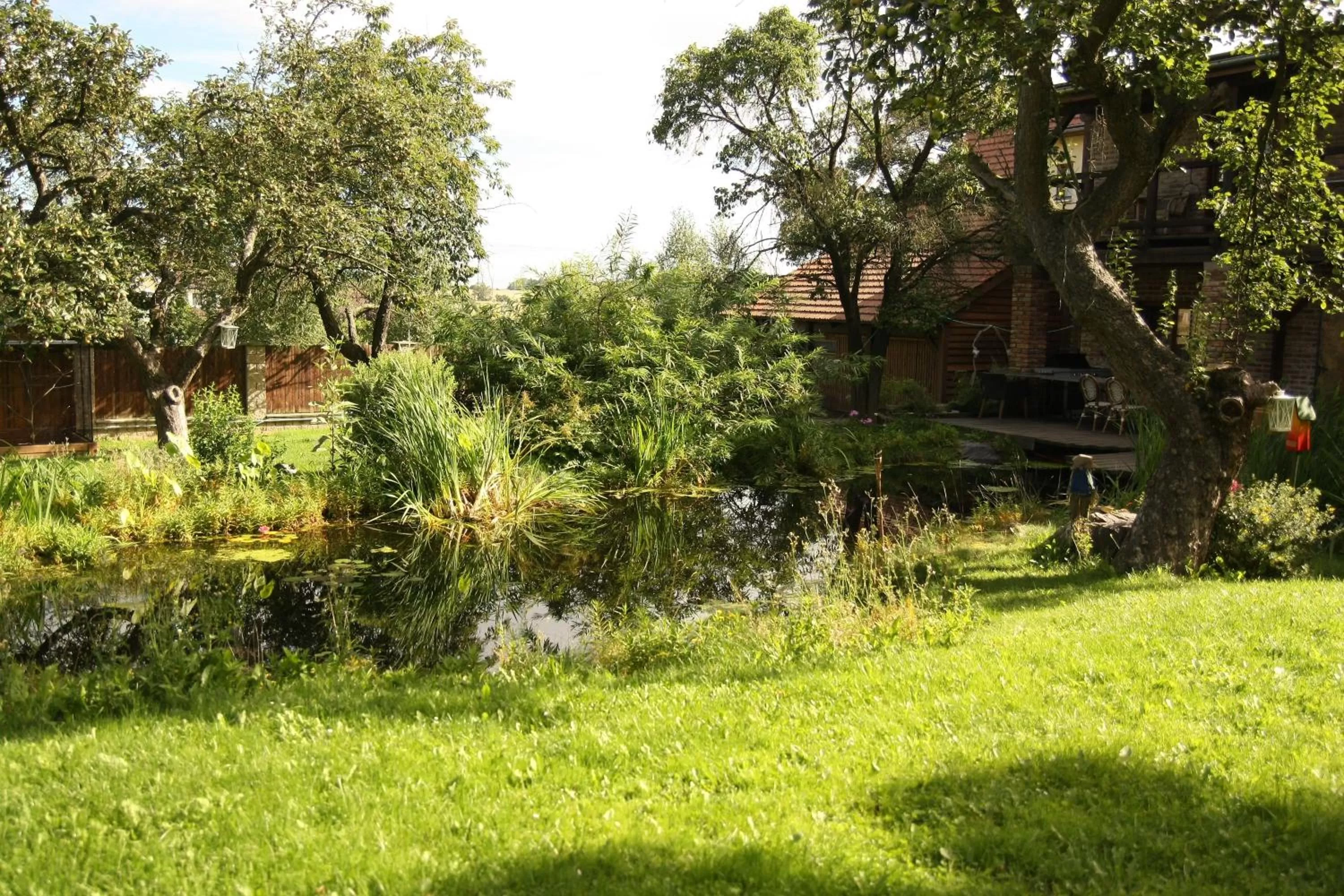 Natural landscape in Areal Botanika