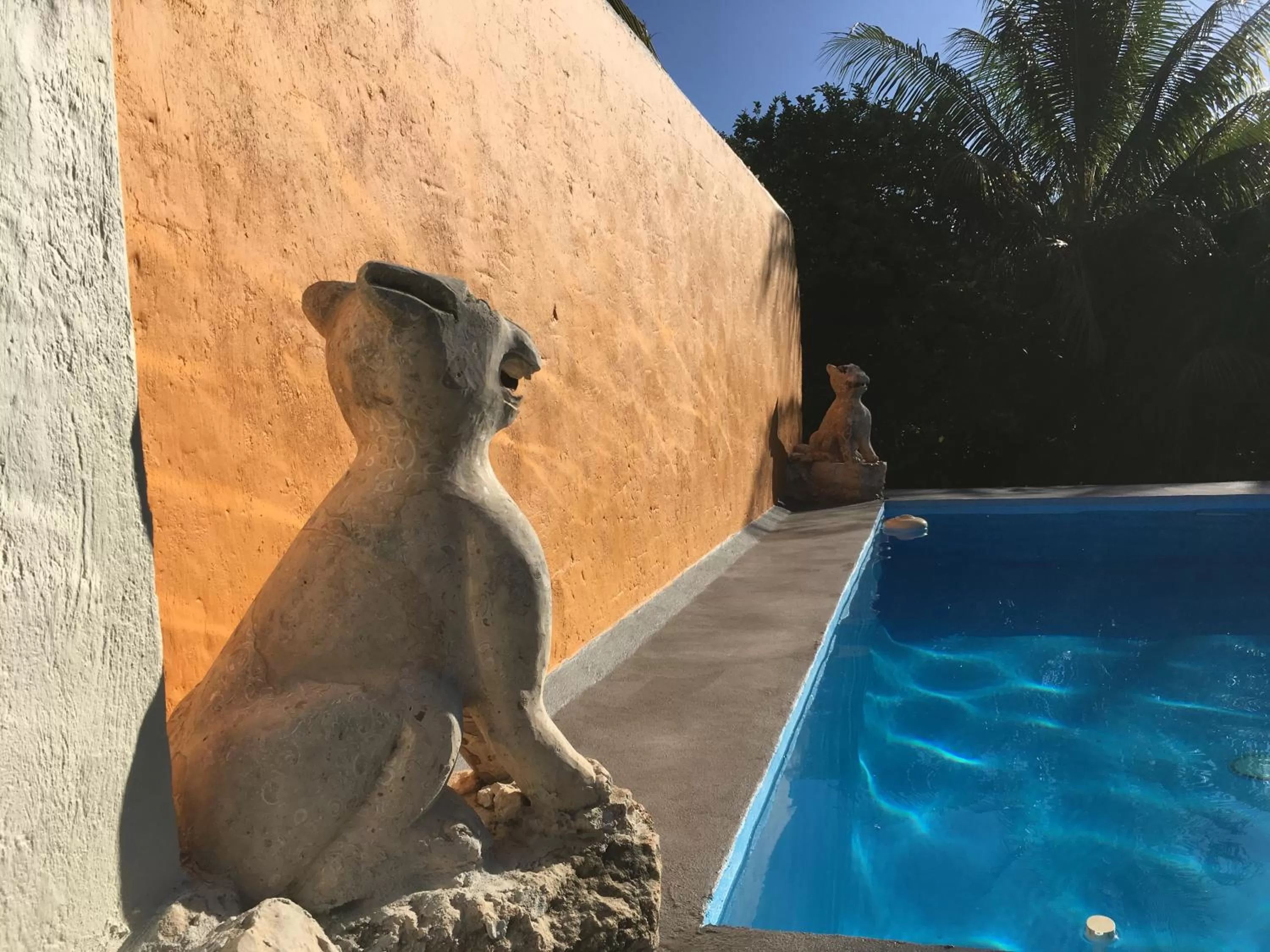 Swimming pool in Hacienda San Pedro Nohpat