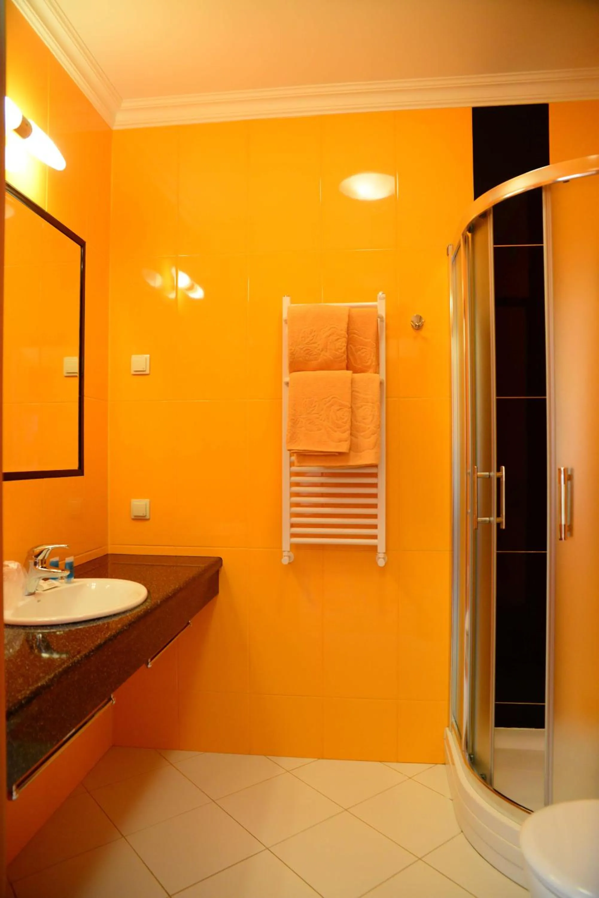 Shower in Hotel Polaris