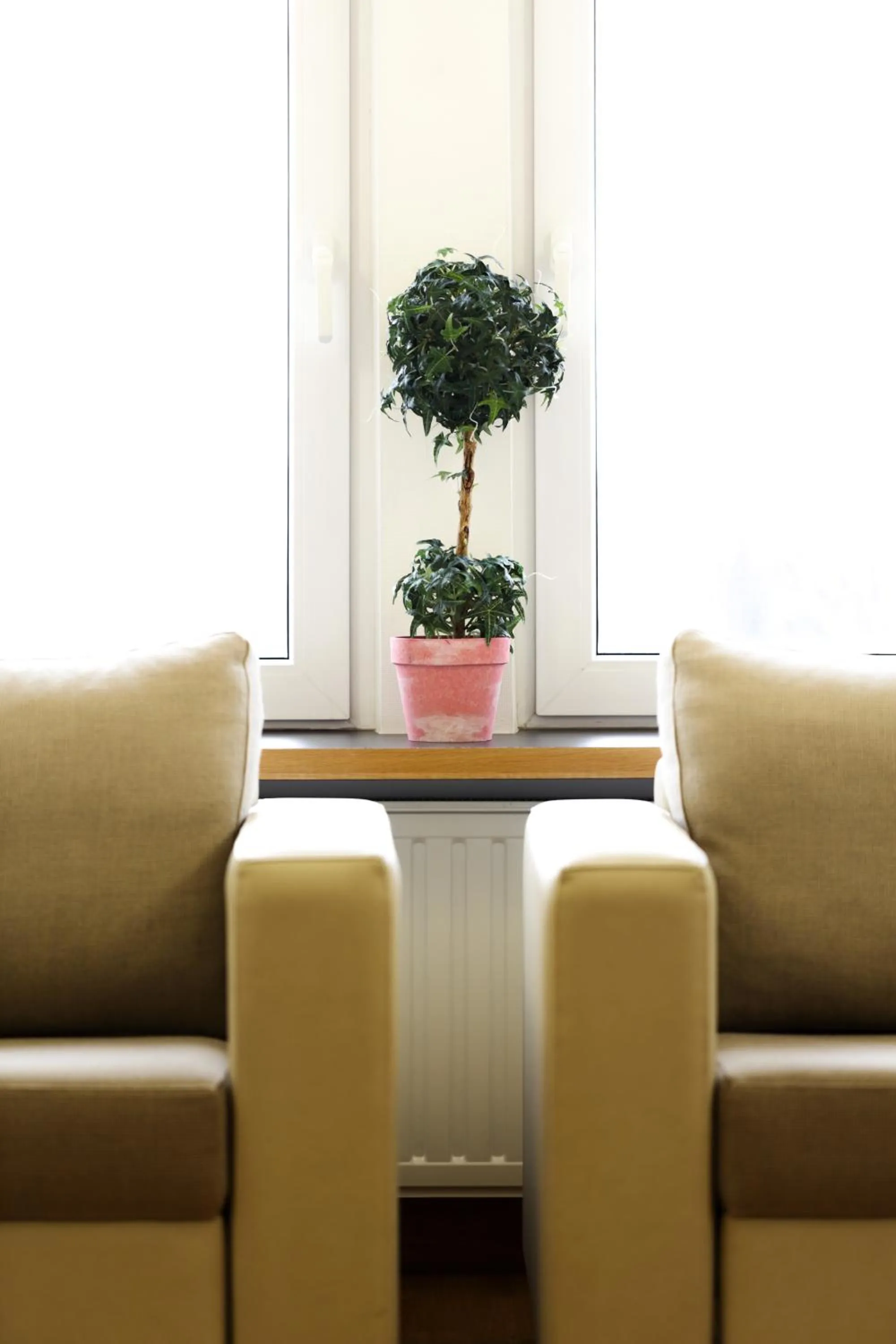 View (from property/room) in Hotel-Résidence Am Klouschter