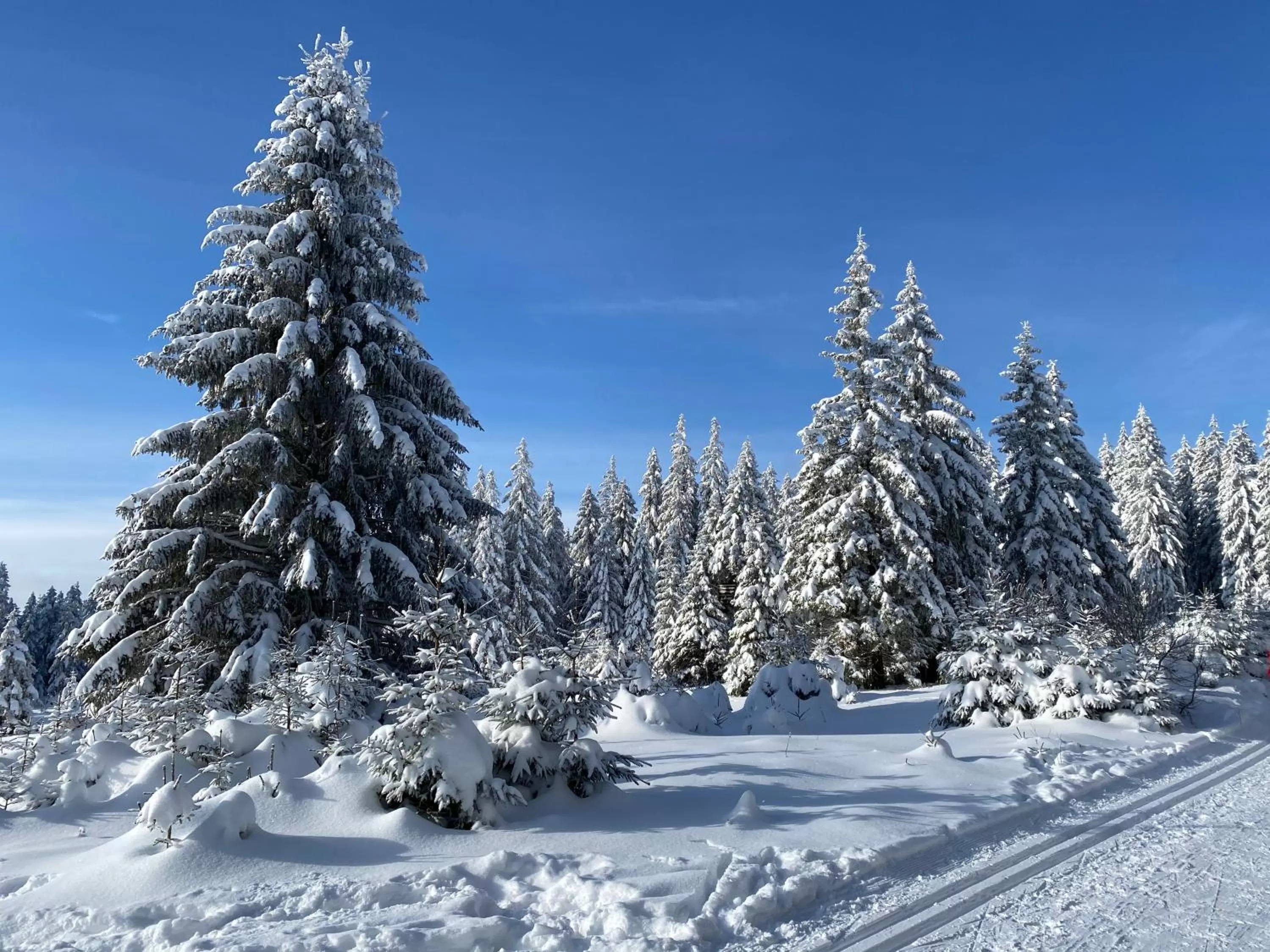 Natural landscape in Vila Jáchymov