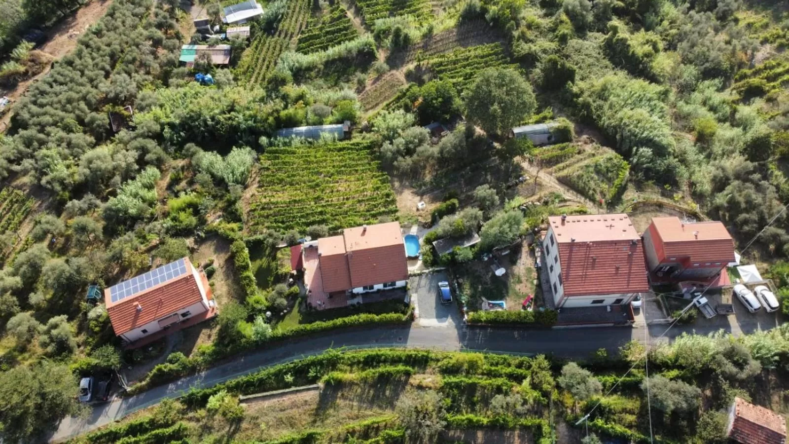 Bird's-eye View in In Vino Veritas