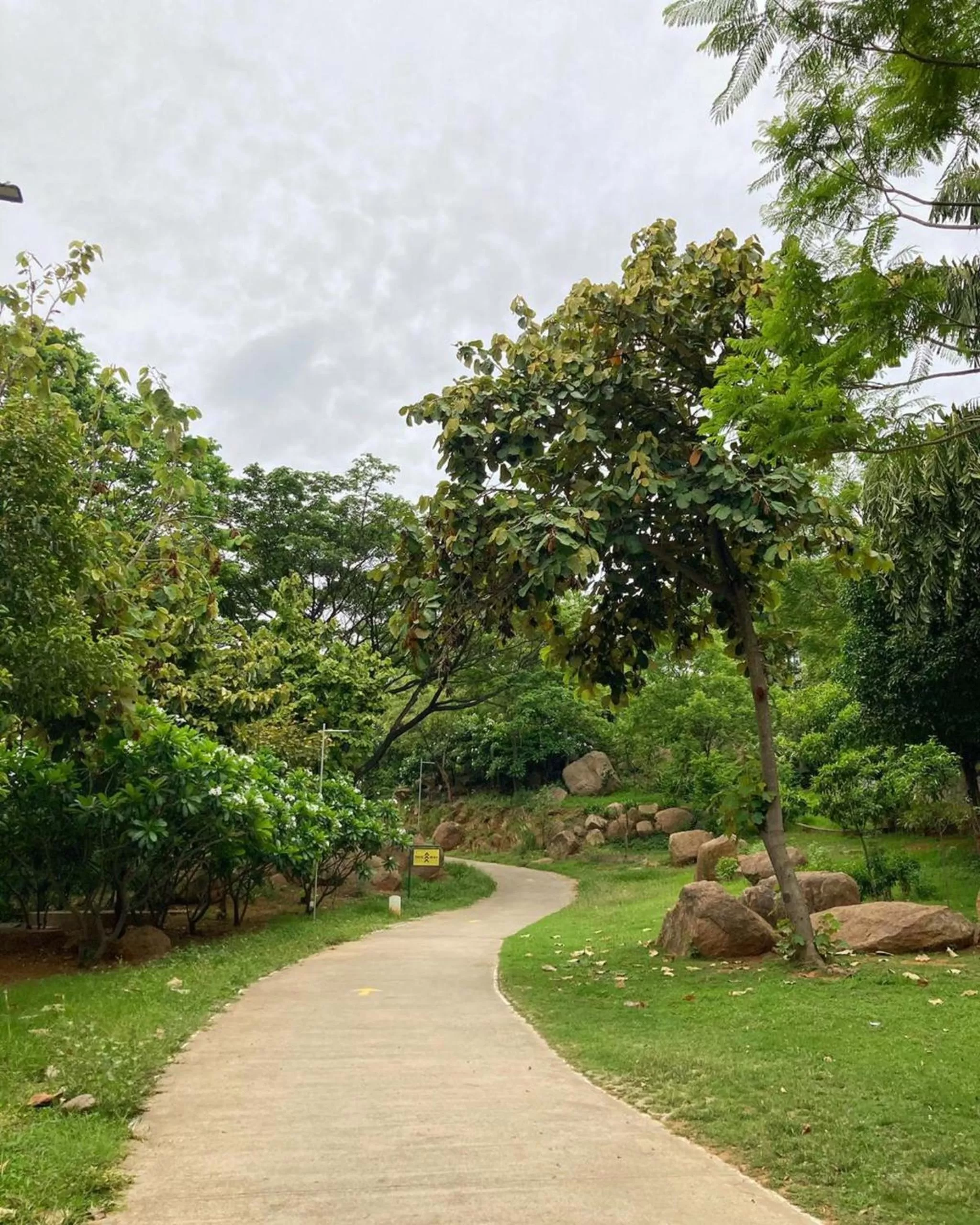 View (from property/room) in Hyatt Hyderabad Gachibowli