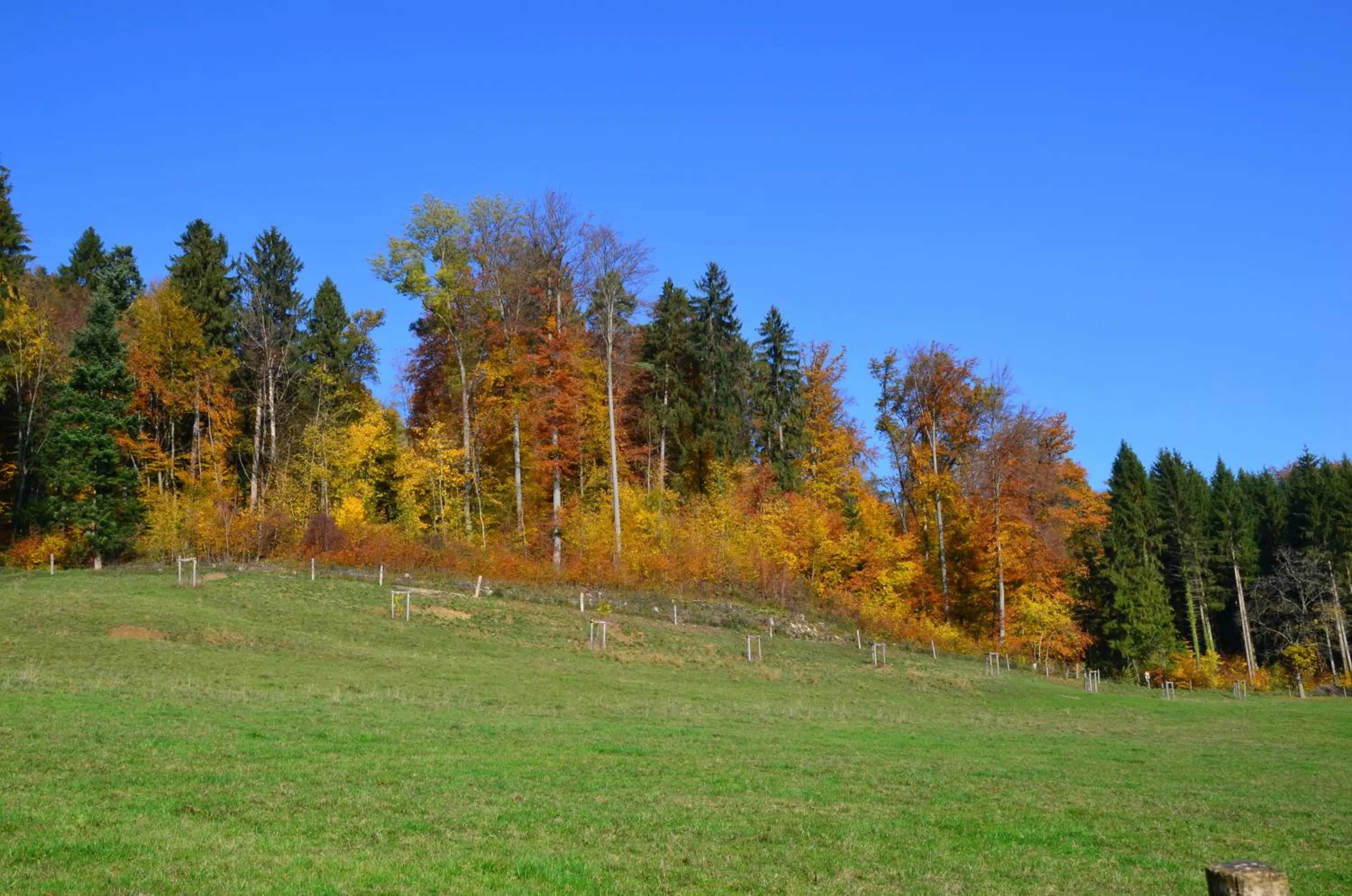 Day in Bad Schauenburg