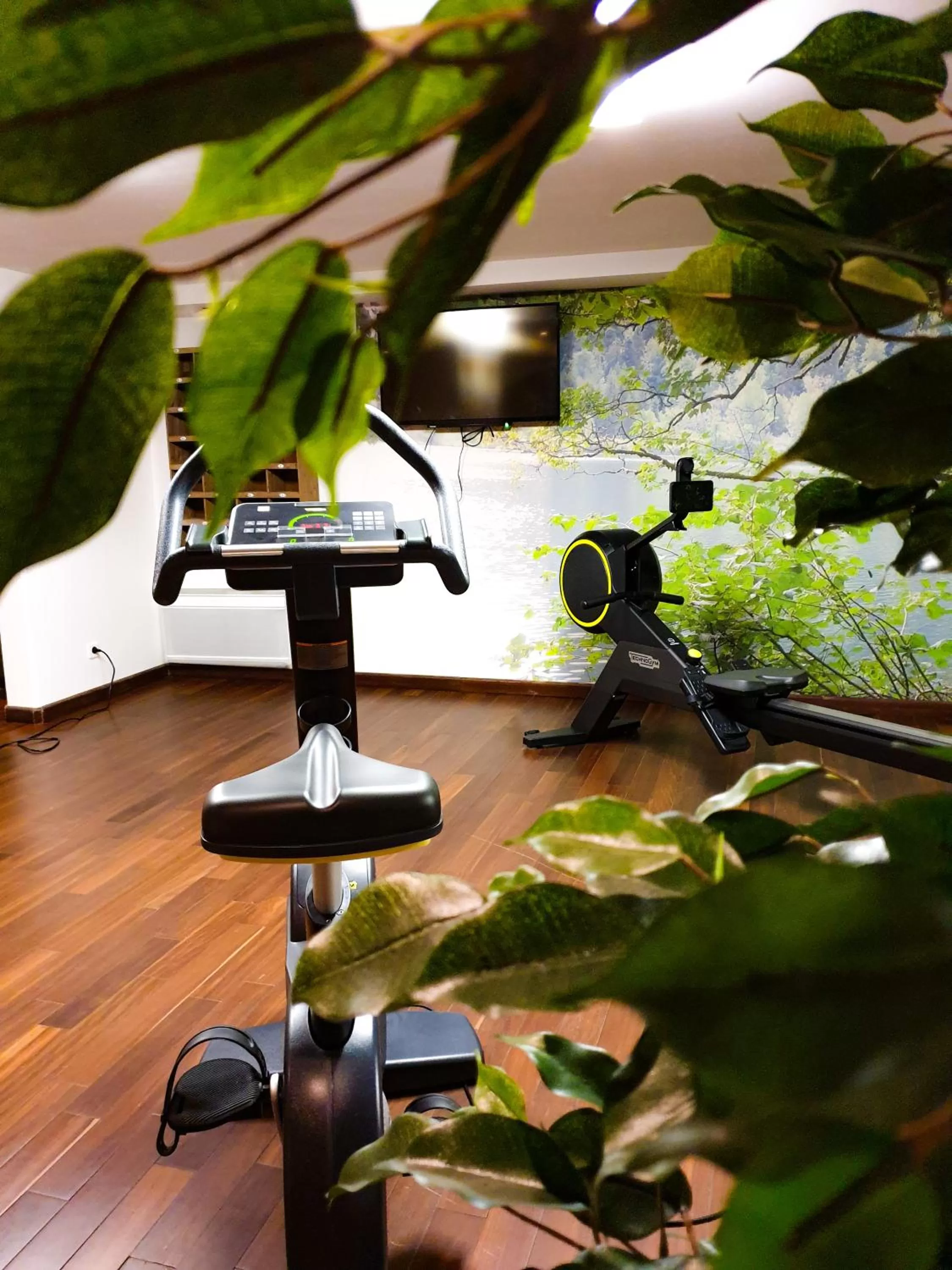 Fitness centre/facilities in Hotel de Berny