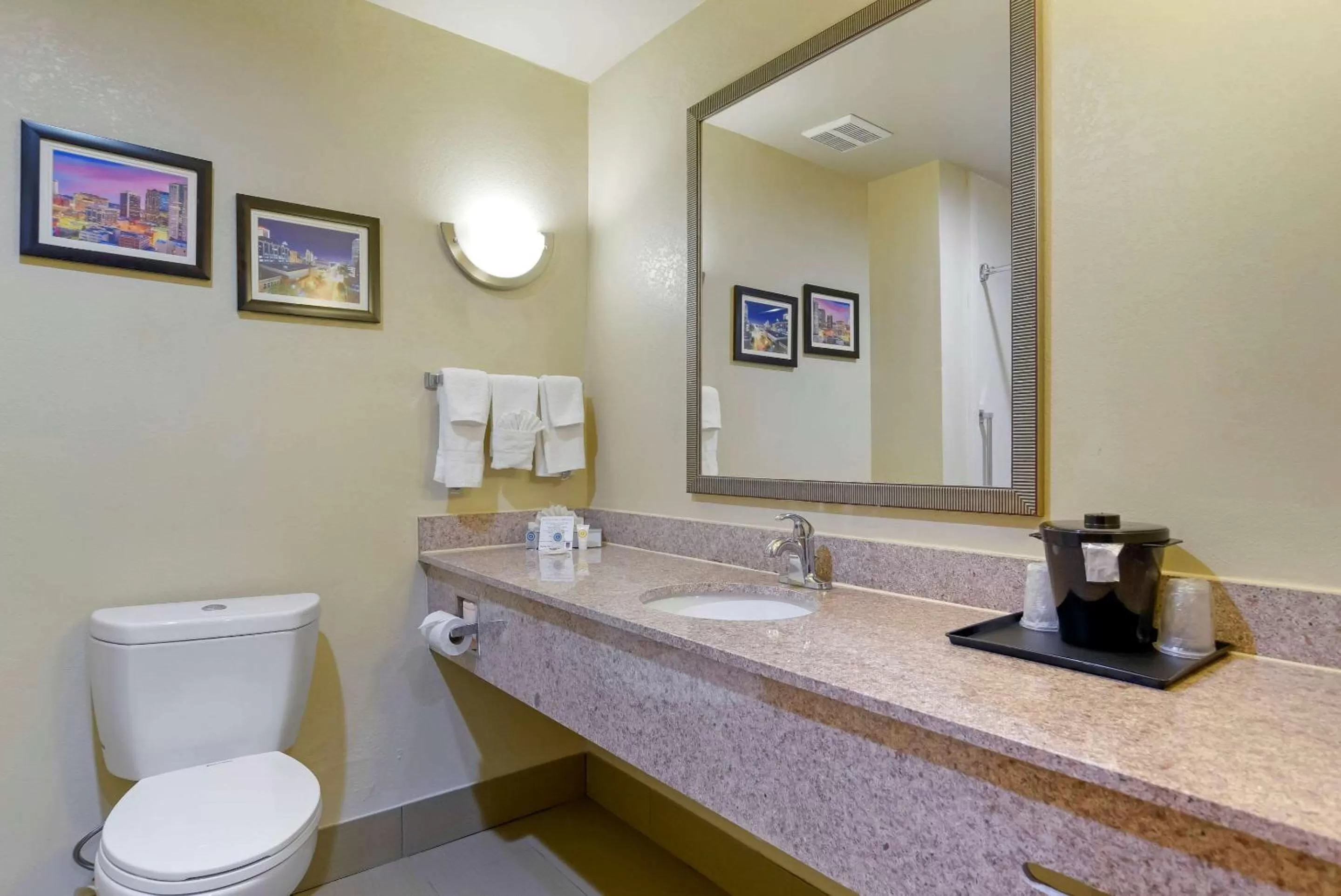 Bathroom in Comfort Suites Fultondale I-65 near I-22