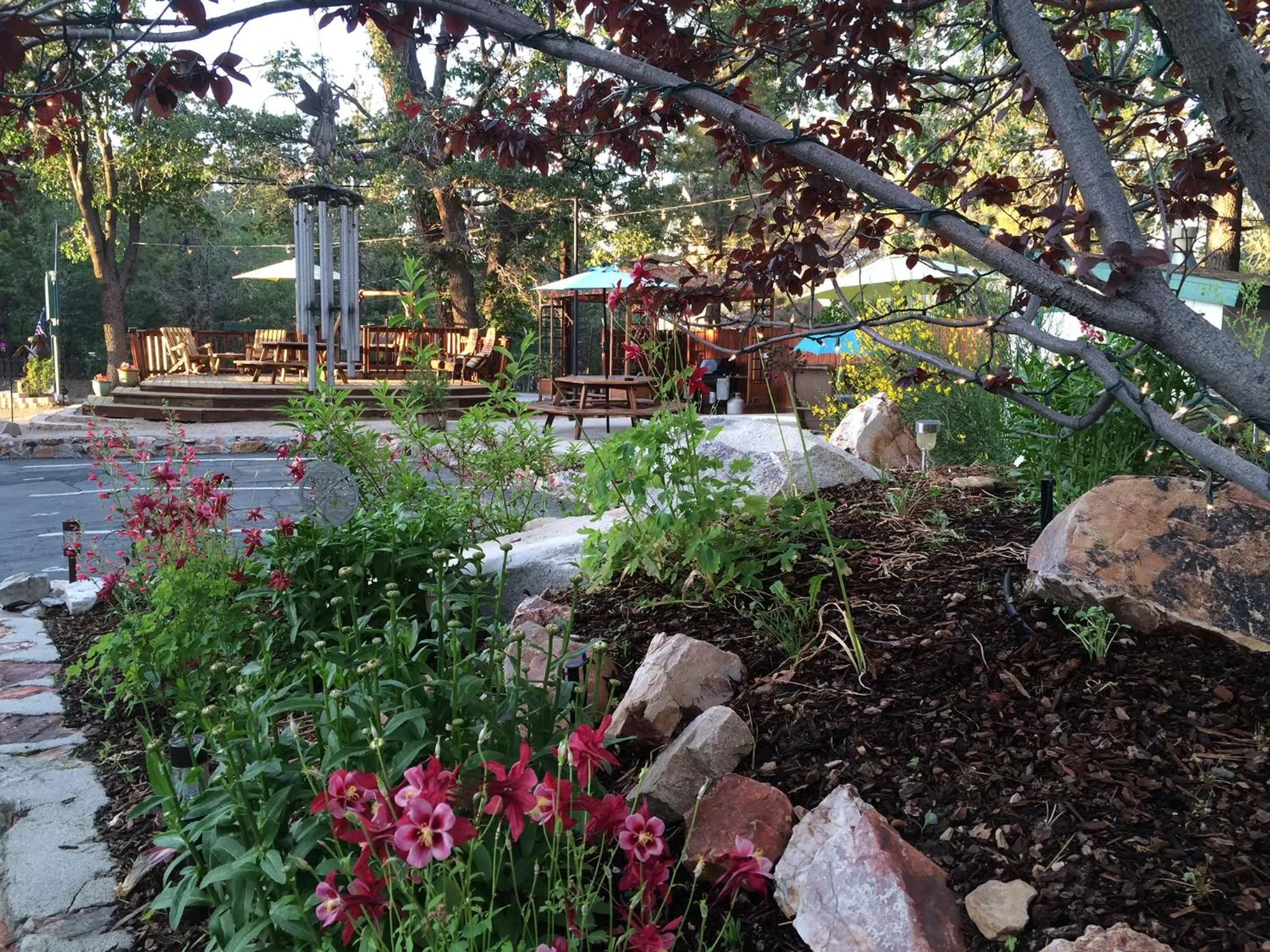 Garden in Hillcrest Suites & Cabins