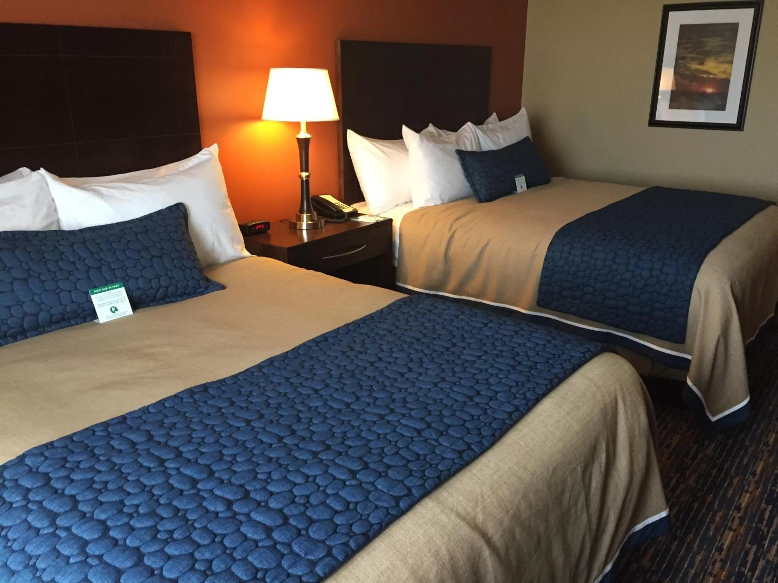 Photo of the whole room, Bed in Grandstay Hotel & Suites Mount Horeb - Madison