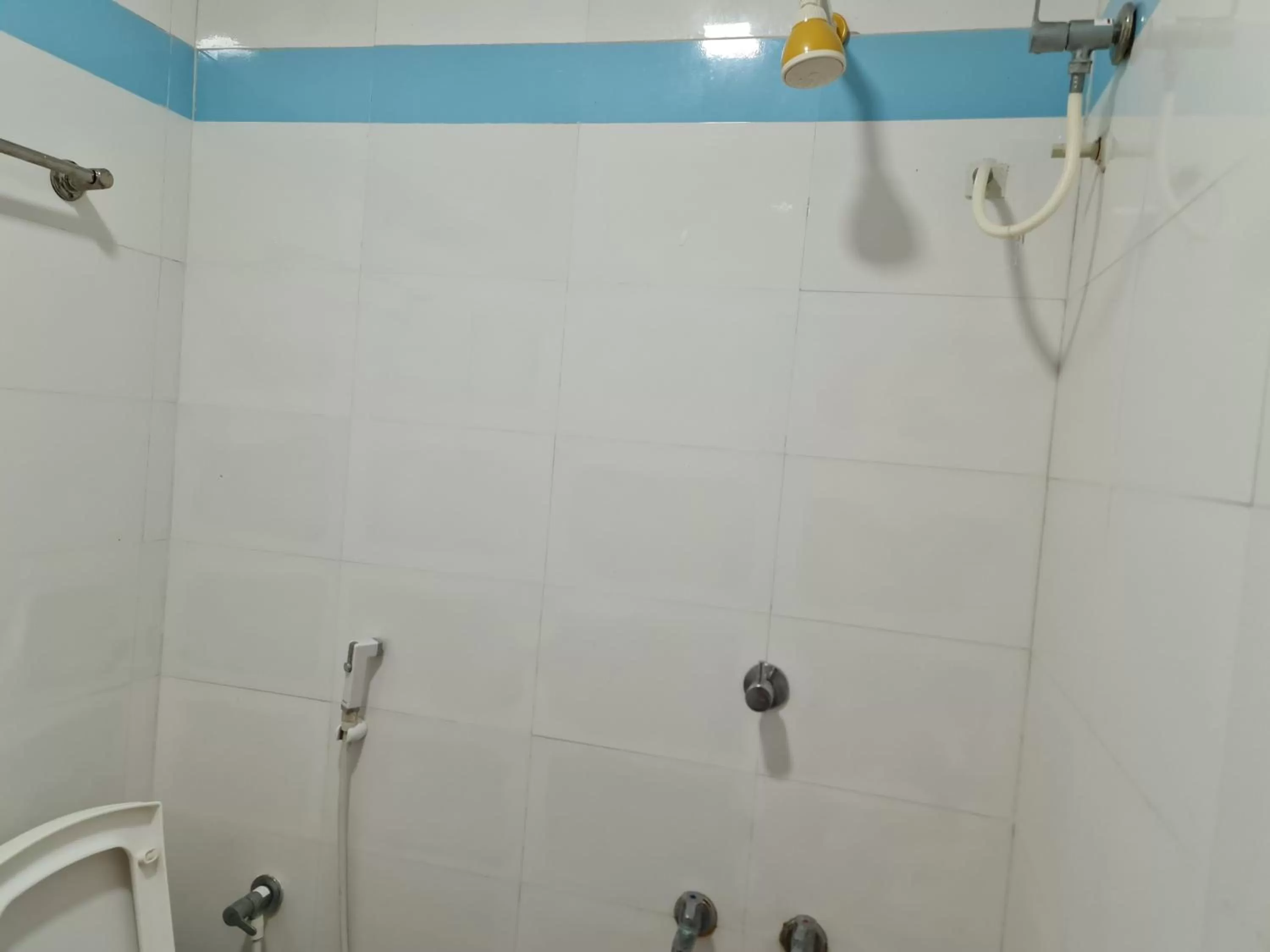 Bathroom in Vijay Shree Inn