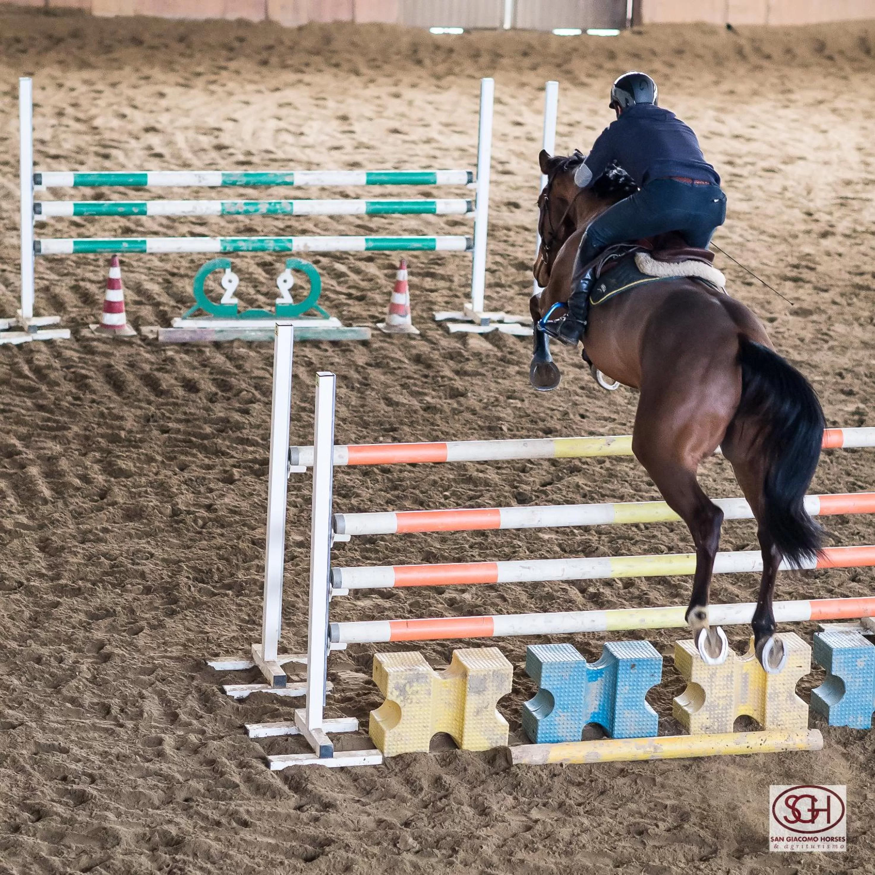 Pets in San Giacomo Horses & Agriturismo