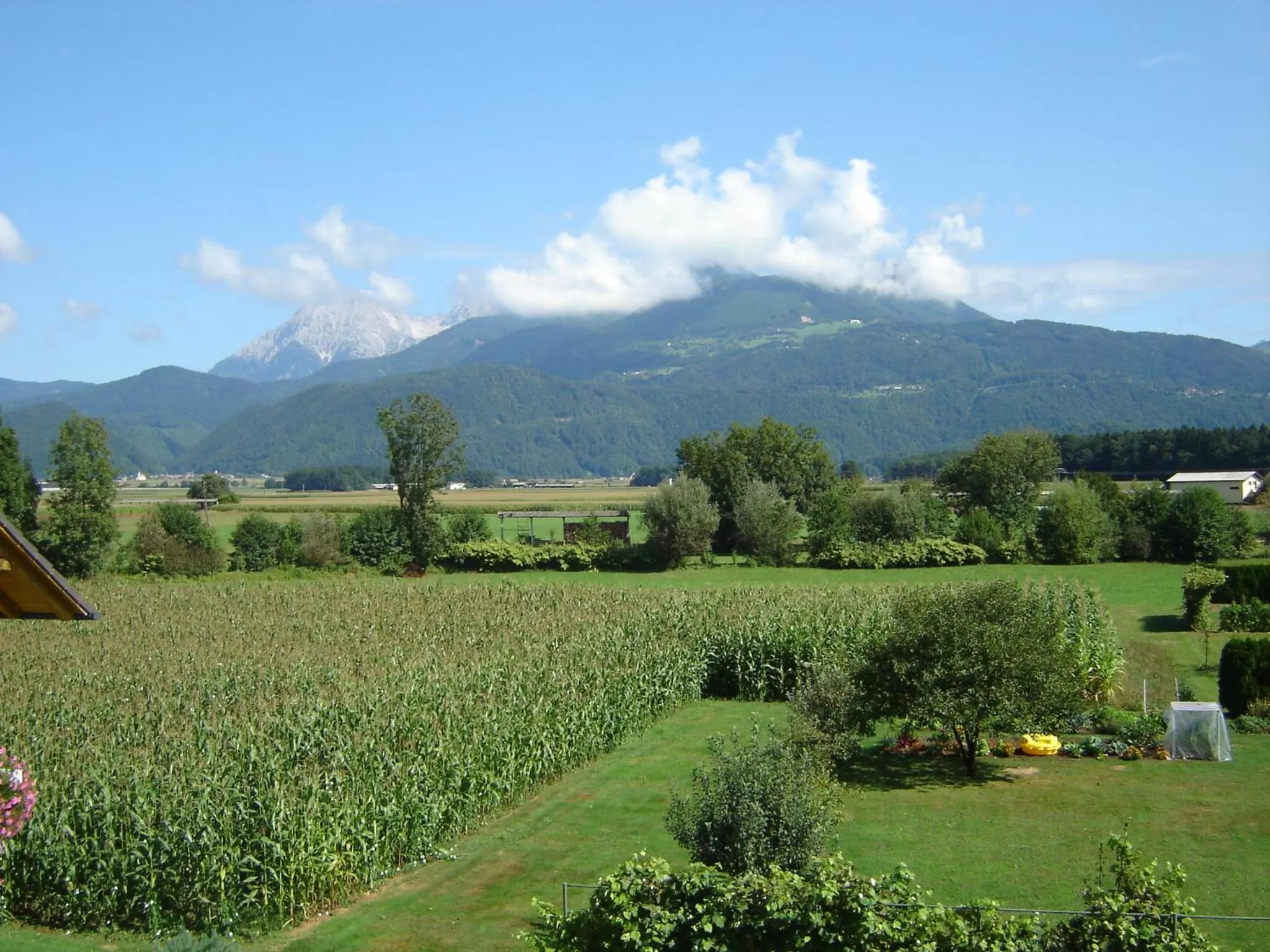 Mountain view in Rooms & Apartments Jana