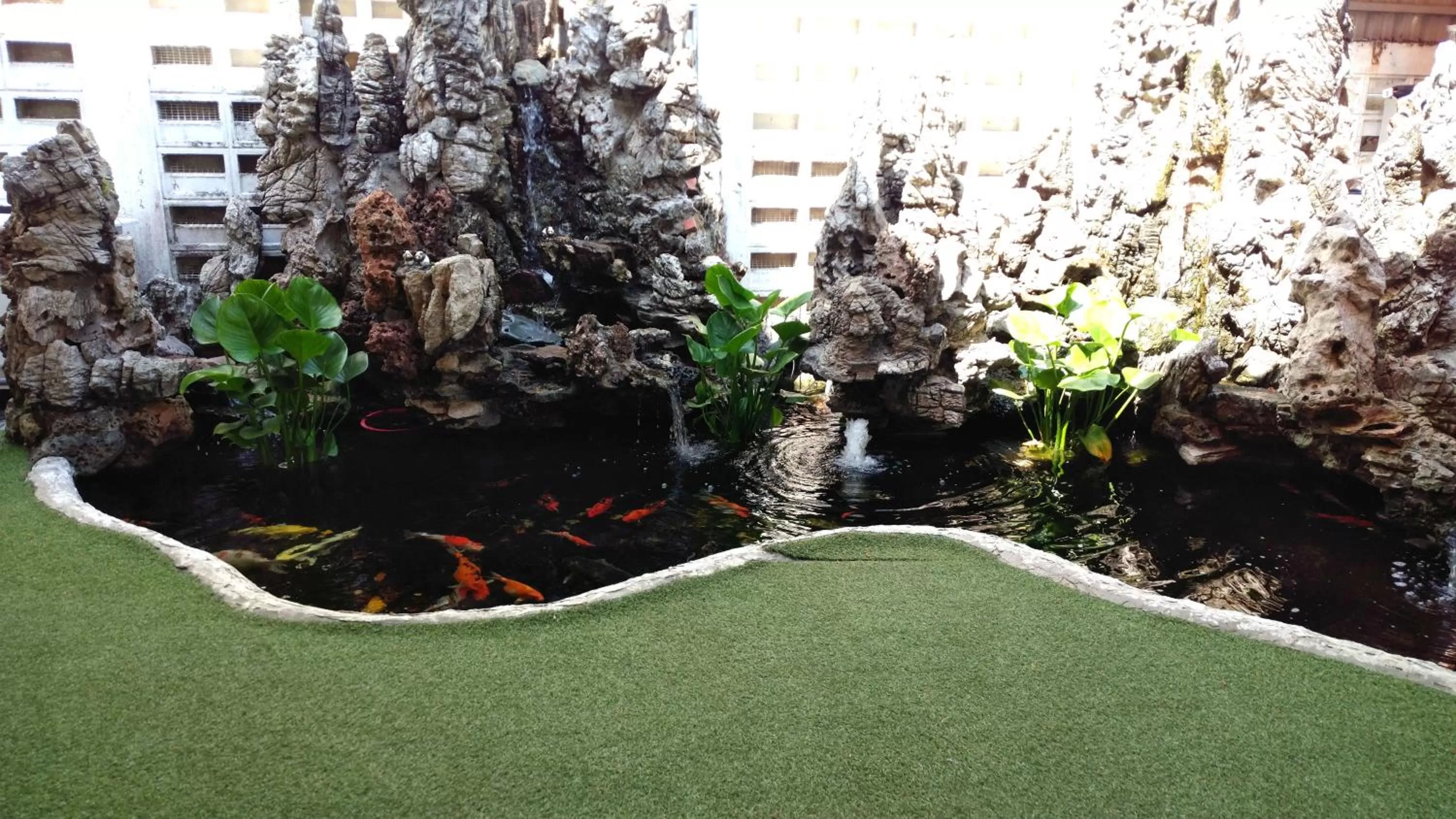 Natural landscape in Apple 1 Hotel Gurney