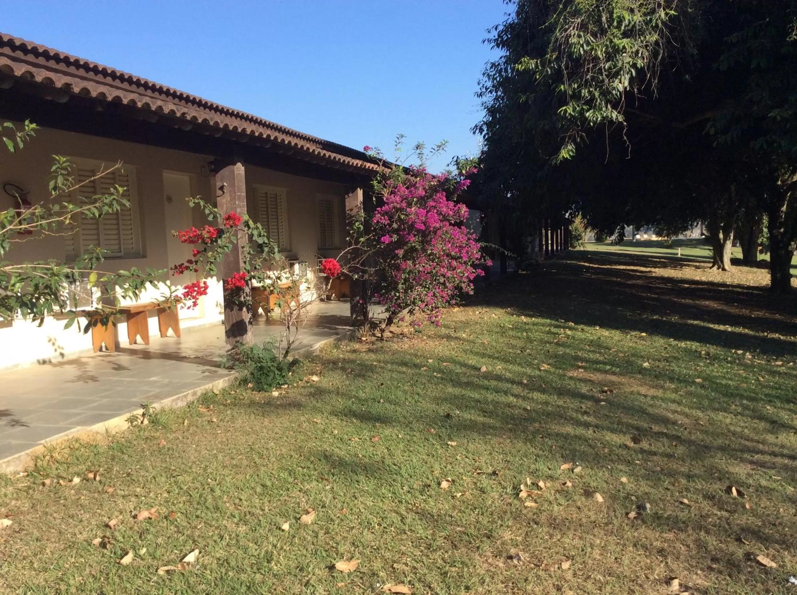 Balcony/Terrace, Patio/Outdoor Area in Pousada Flor da Serra