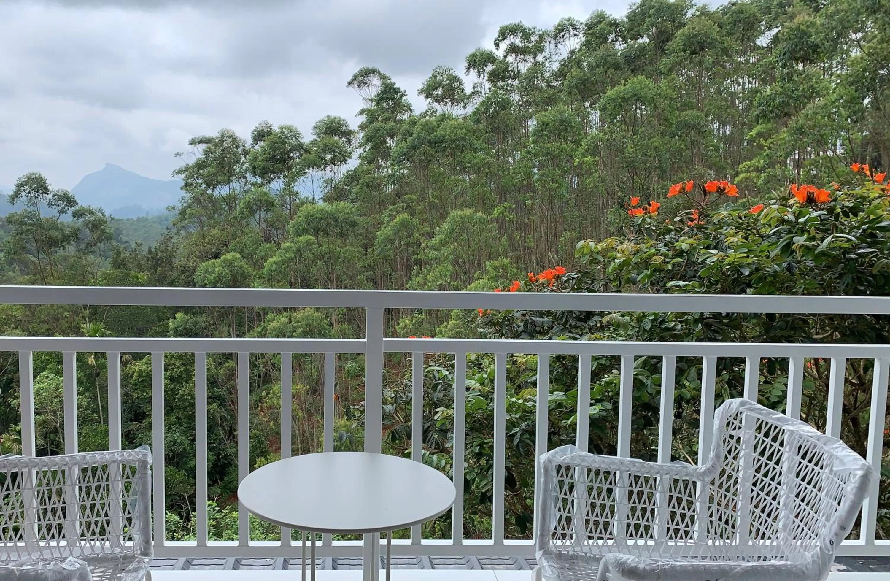View (from property/room), Balcony/Terrace in HOTEL WHITE HOUSE, Munnar