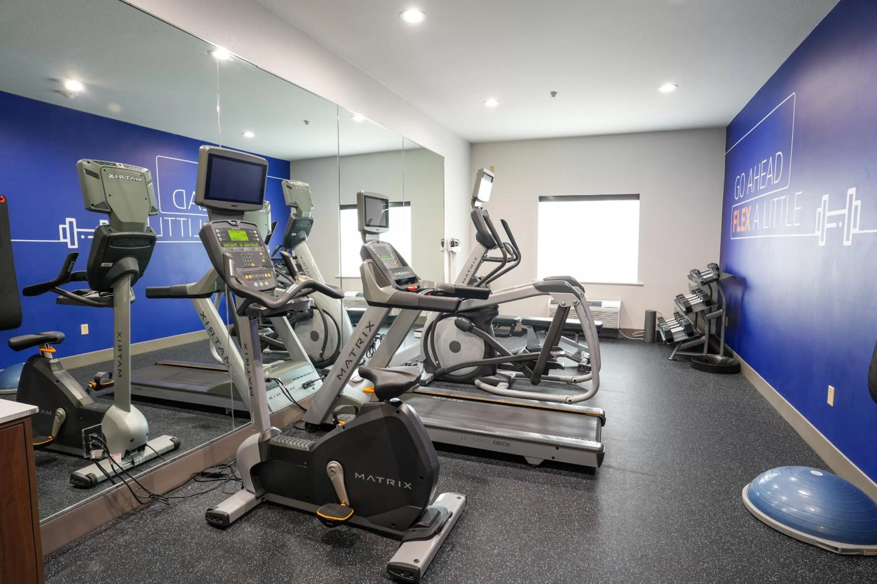 Fitness centre/facilities in Holiday Inn Express Hotel & Suites Cedar Hill by IHG