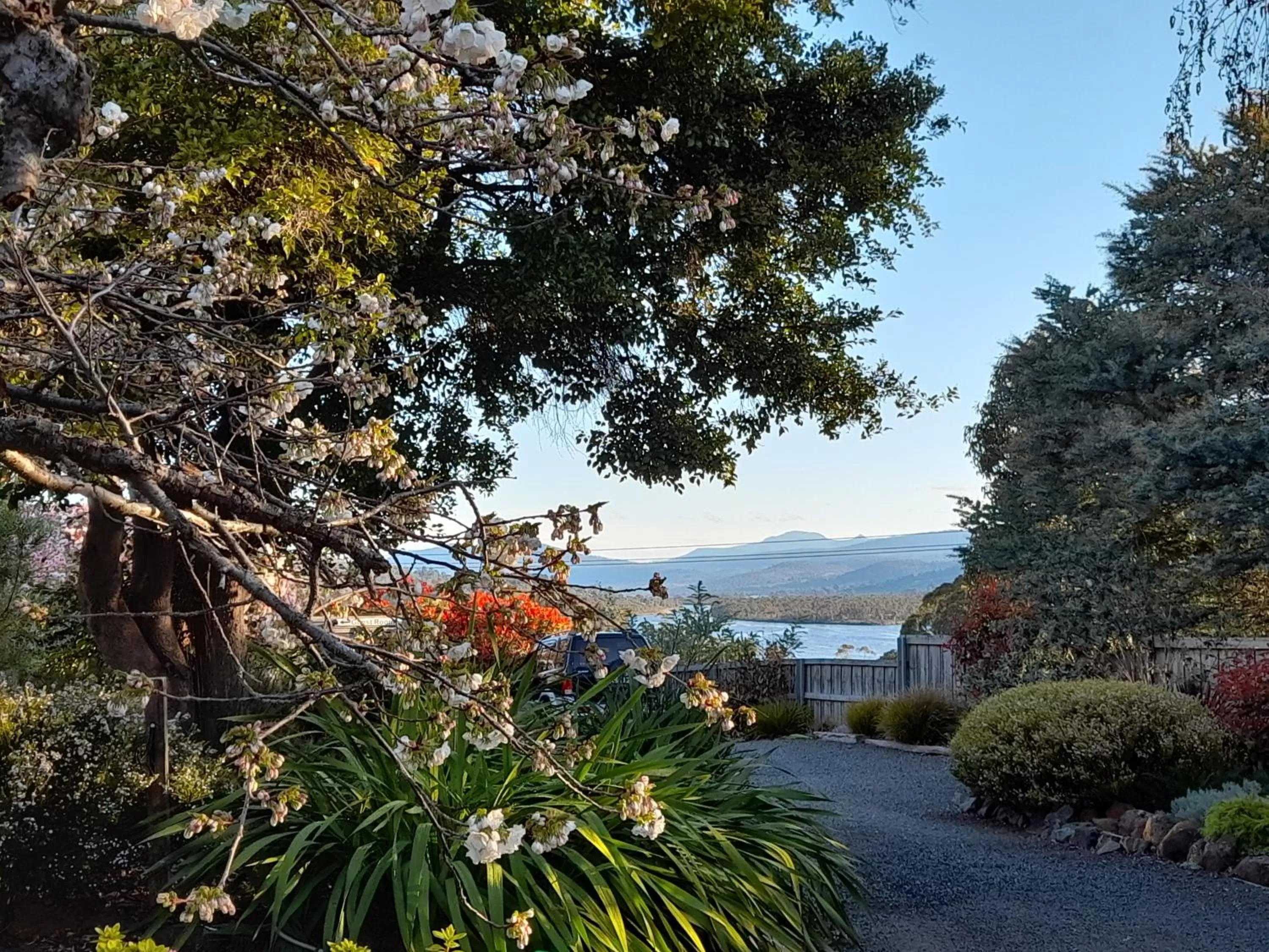 Hillside Bed and Breakfast