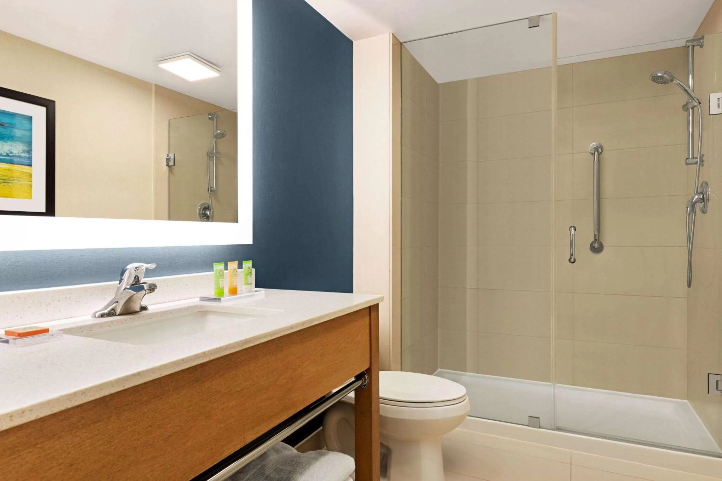 TV and multimedia in Wyndham Garden Niagara Falls Fallsview