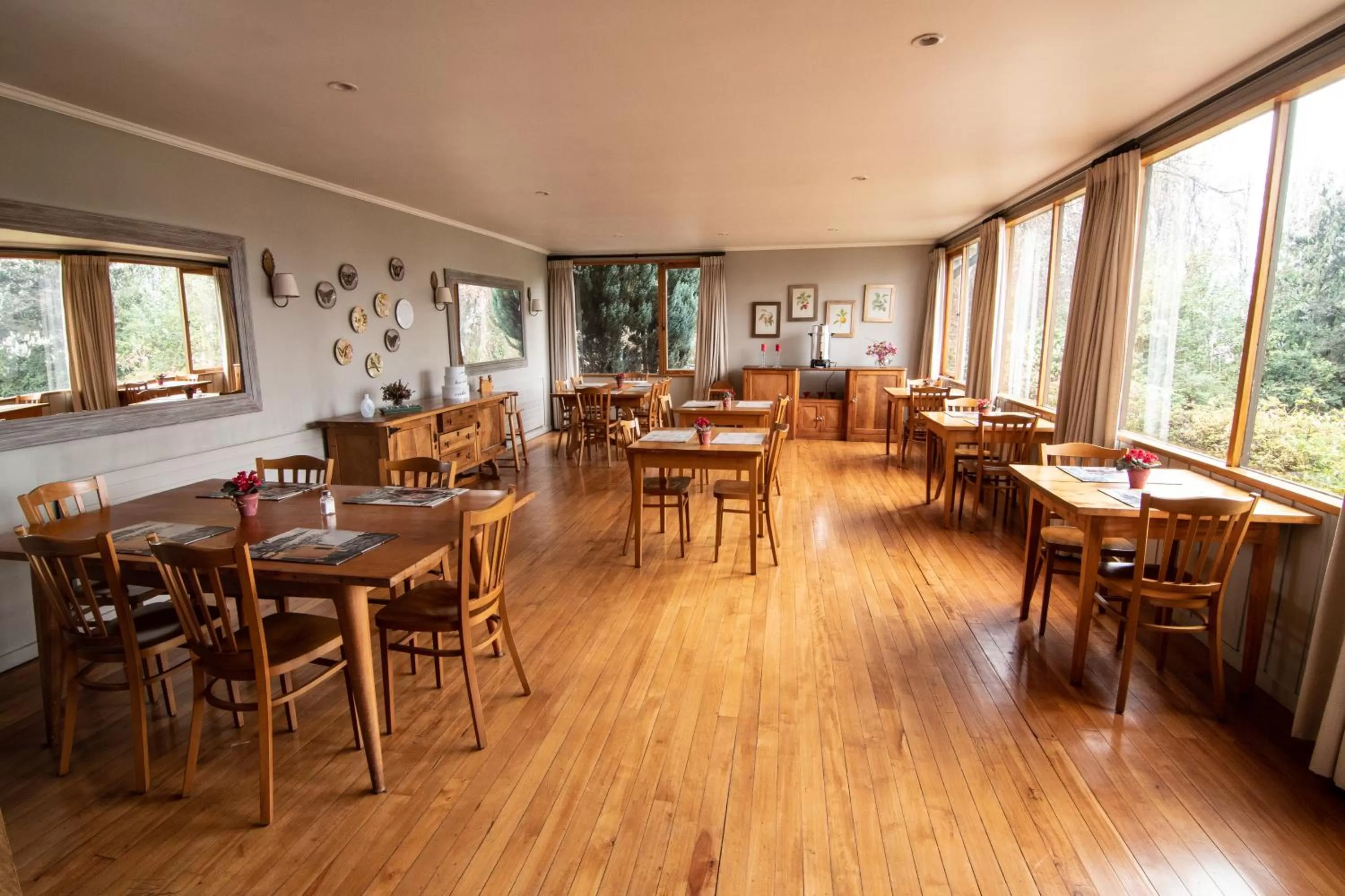 Restaurant/Places to Eat in Hotel El Ciervo