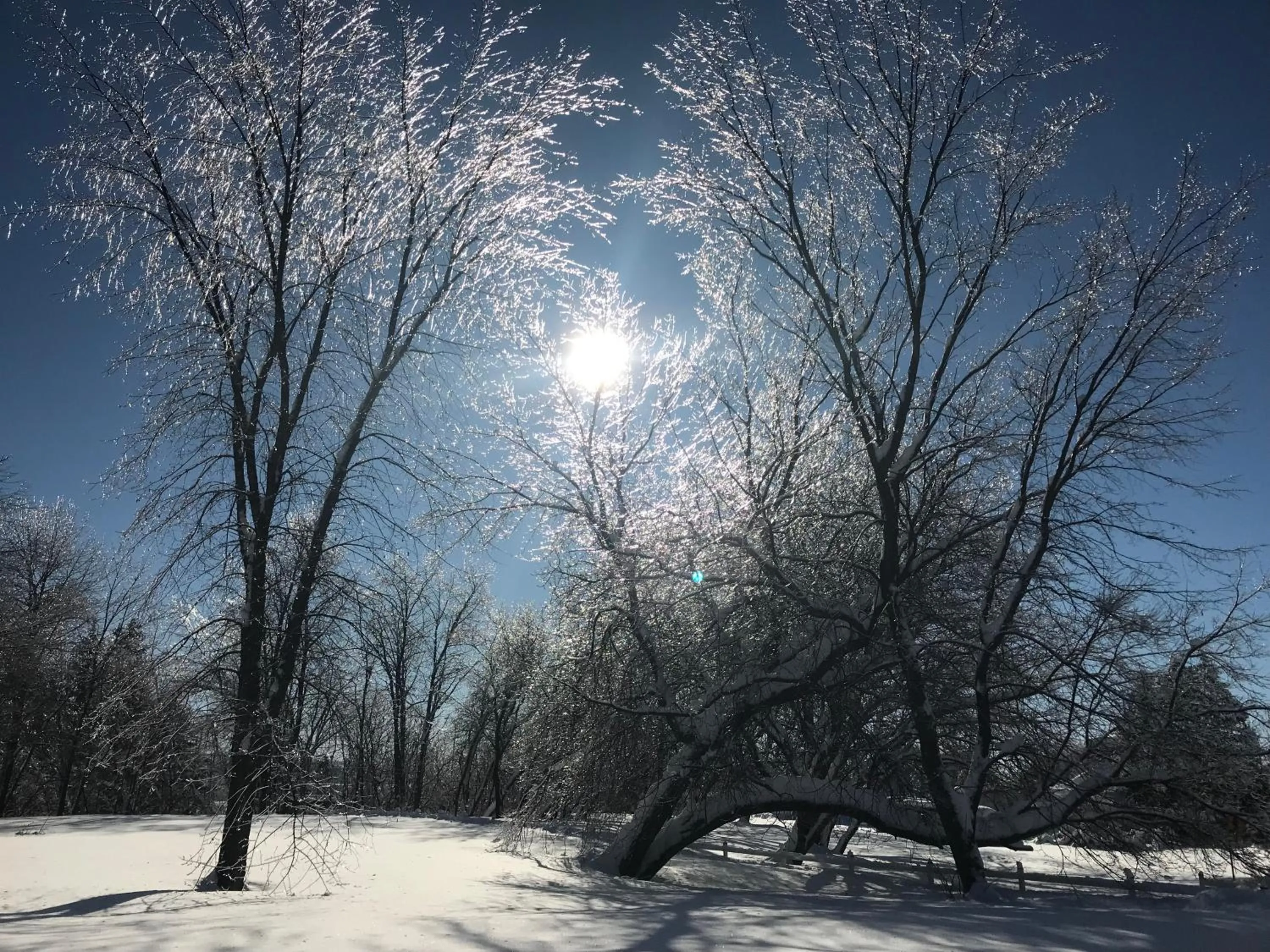 Natural landscape in Auberge du Sault-à-la-Puce
