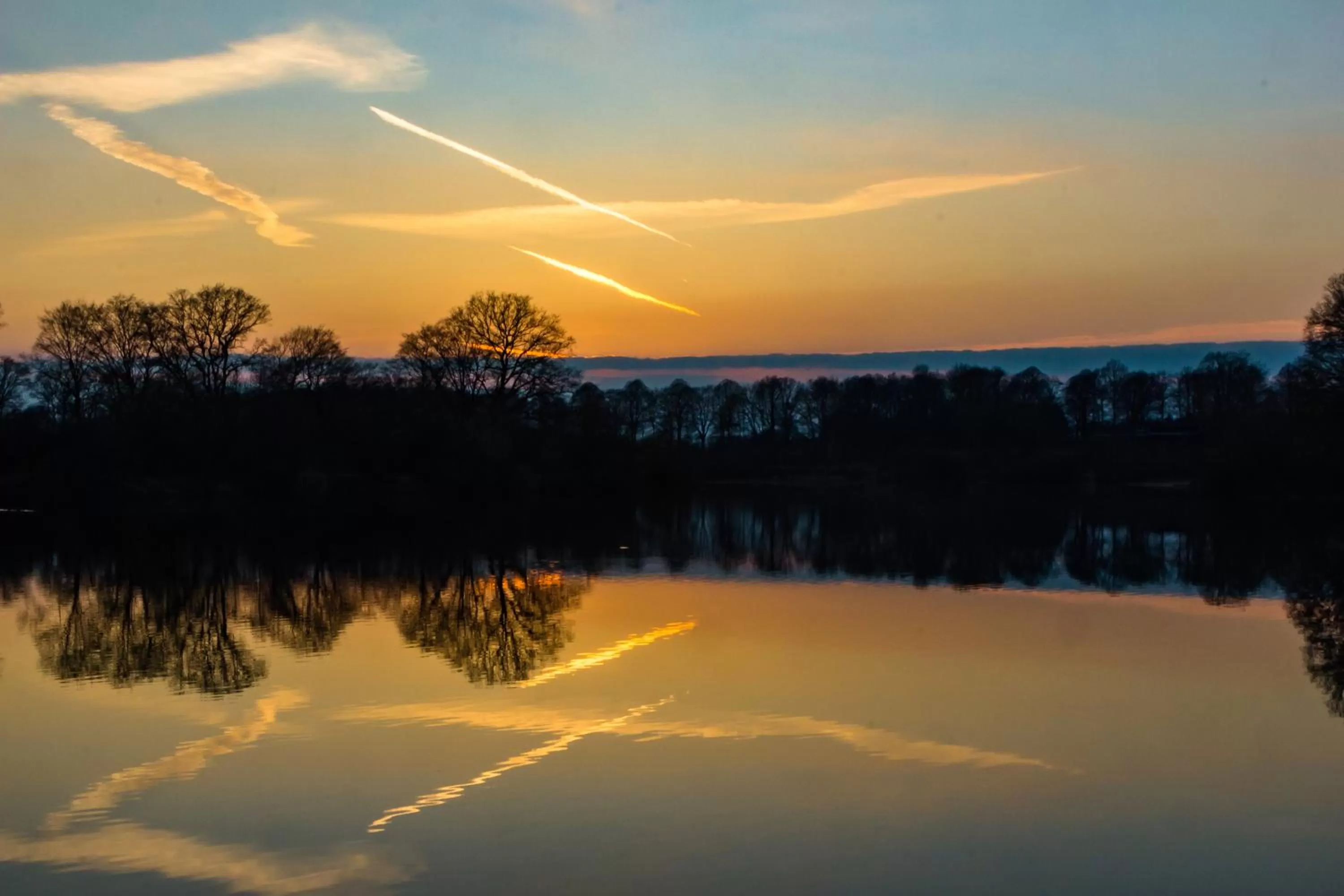 Natural landscape in Waldhotel Schipp-Hummert