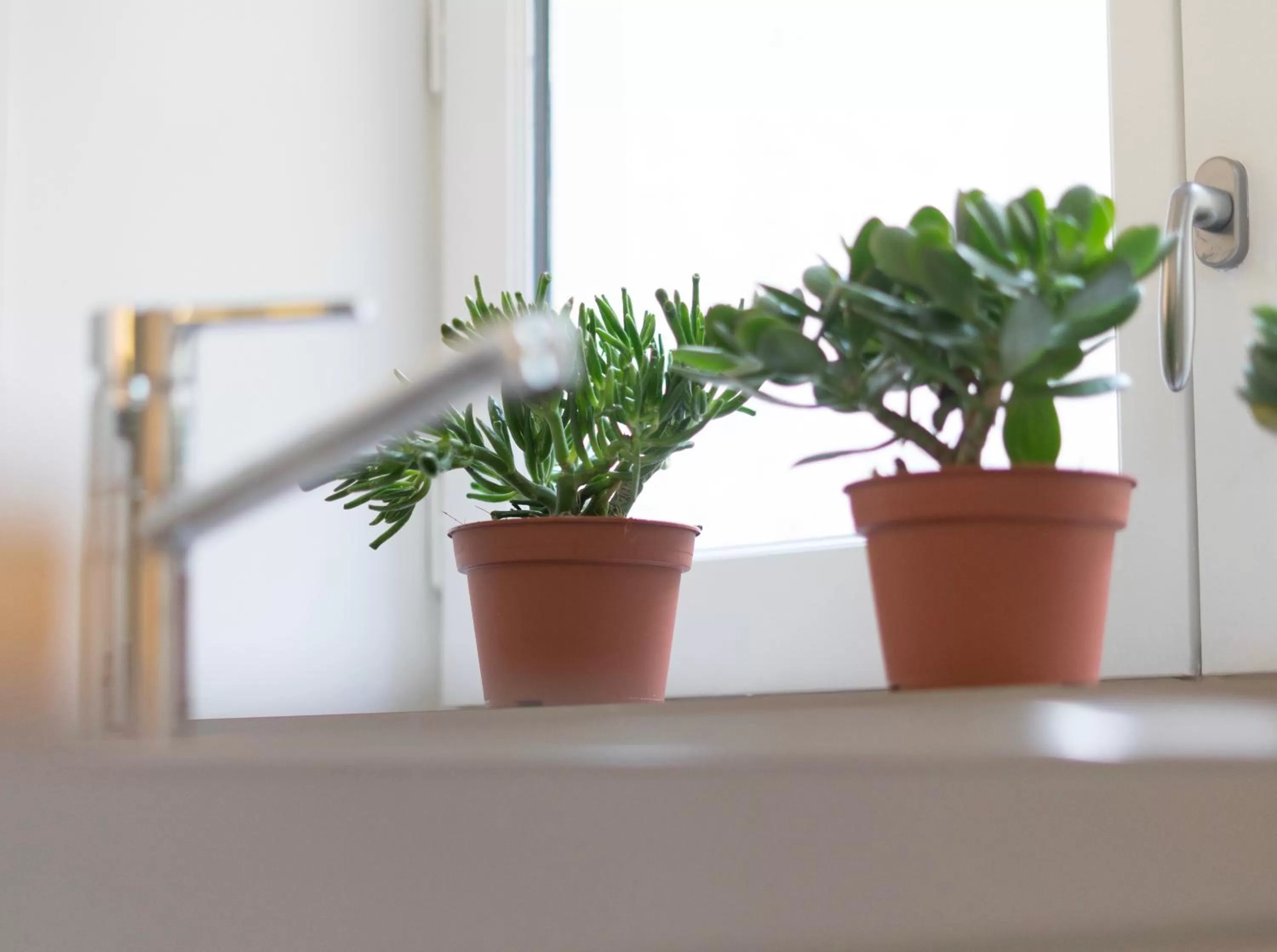 Decorative detail in MiHotel Comte