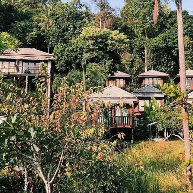 Natural landscape in Thanya Beach Resort - SHA Plus