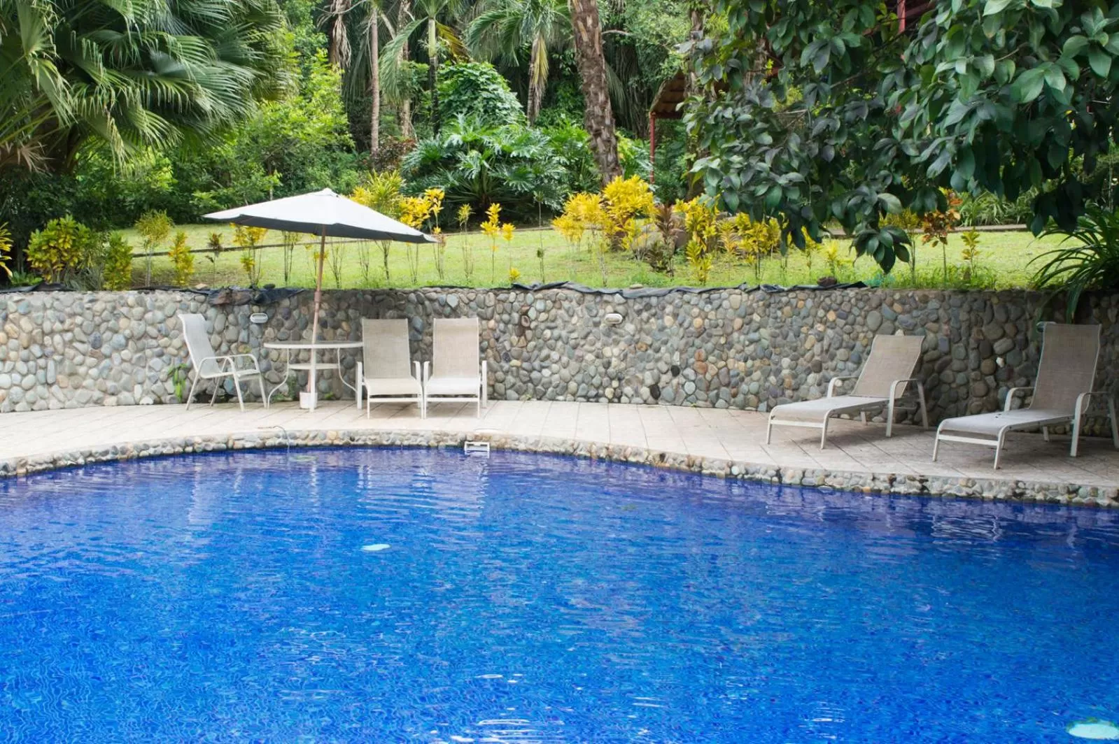 Day in Blue Banyan Inn