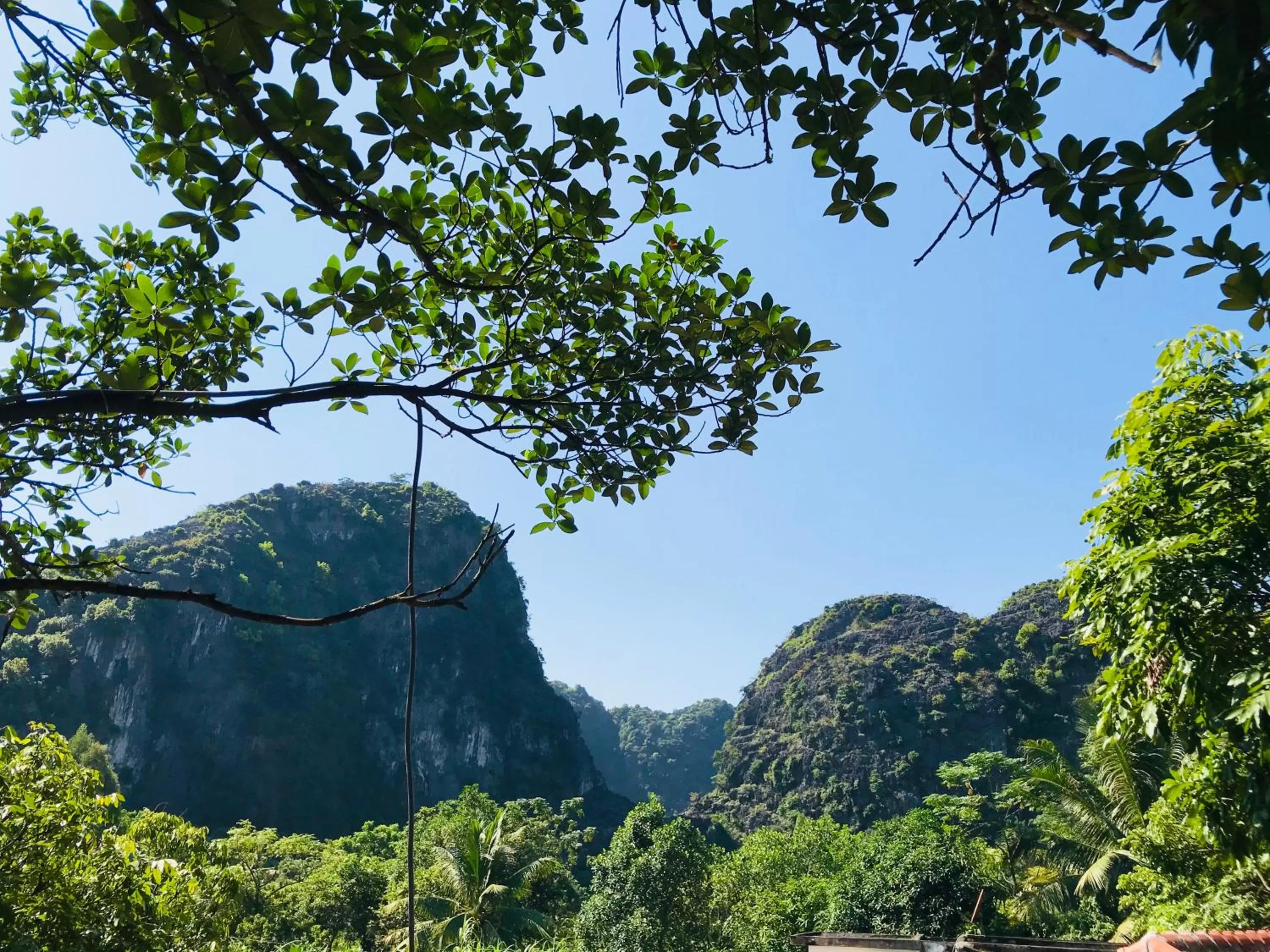 Natural landscape in Trang An Lamia Bungalow