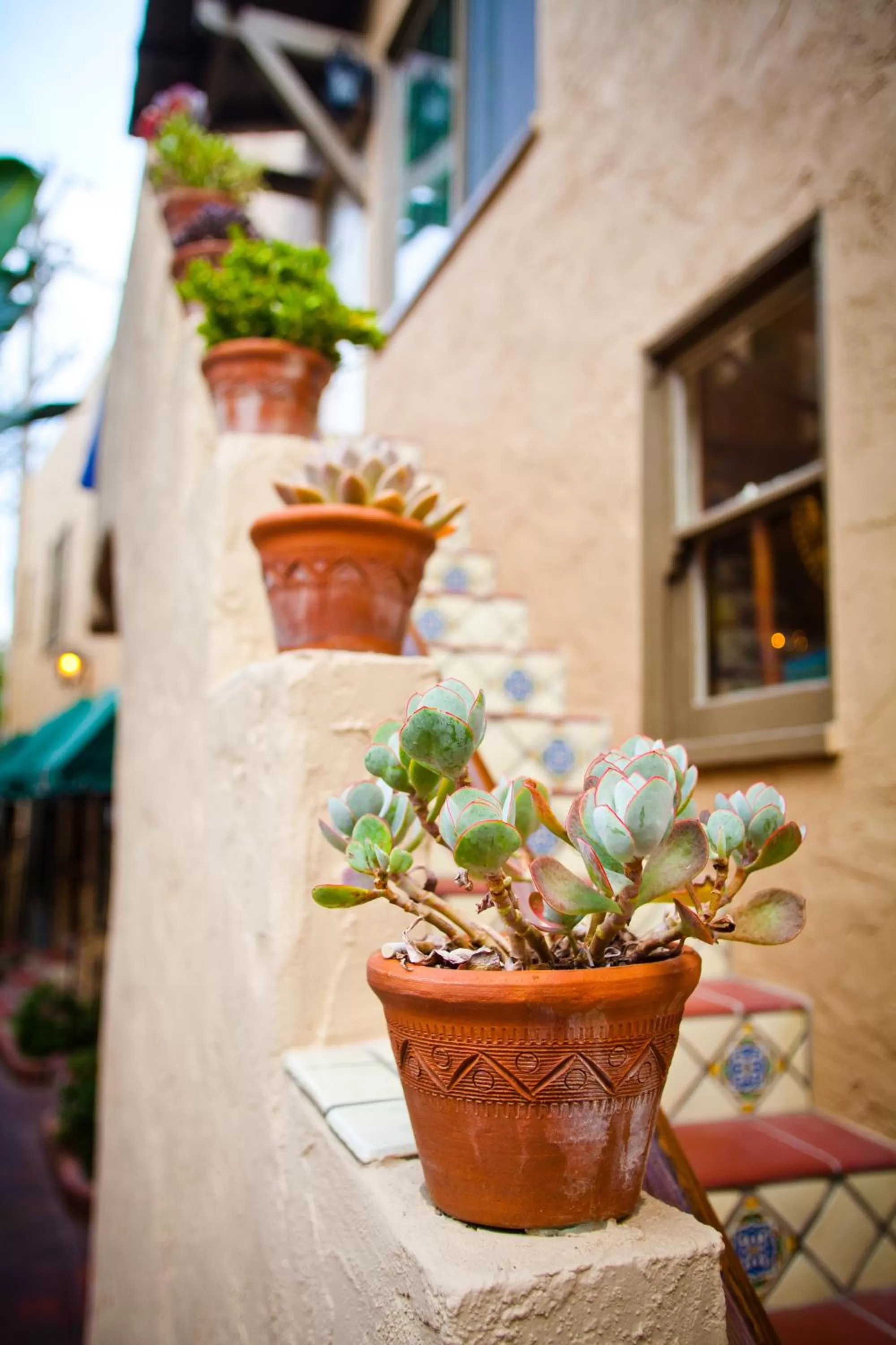 Area and facilities in El Cordova