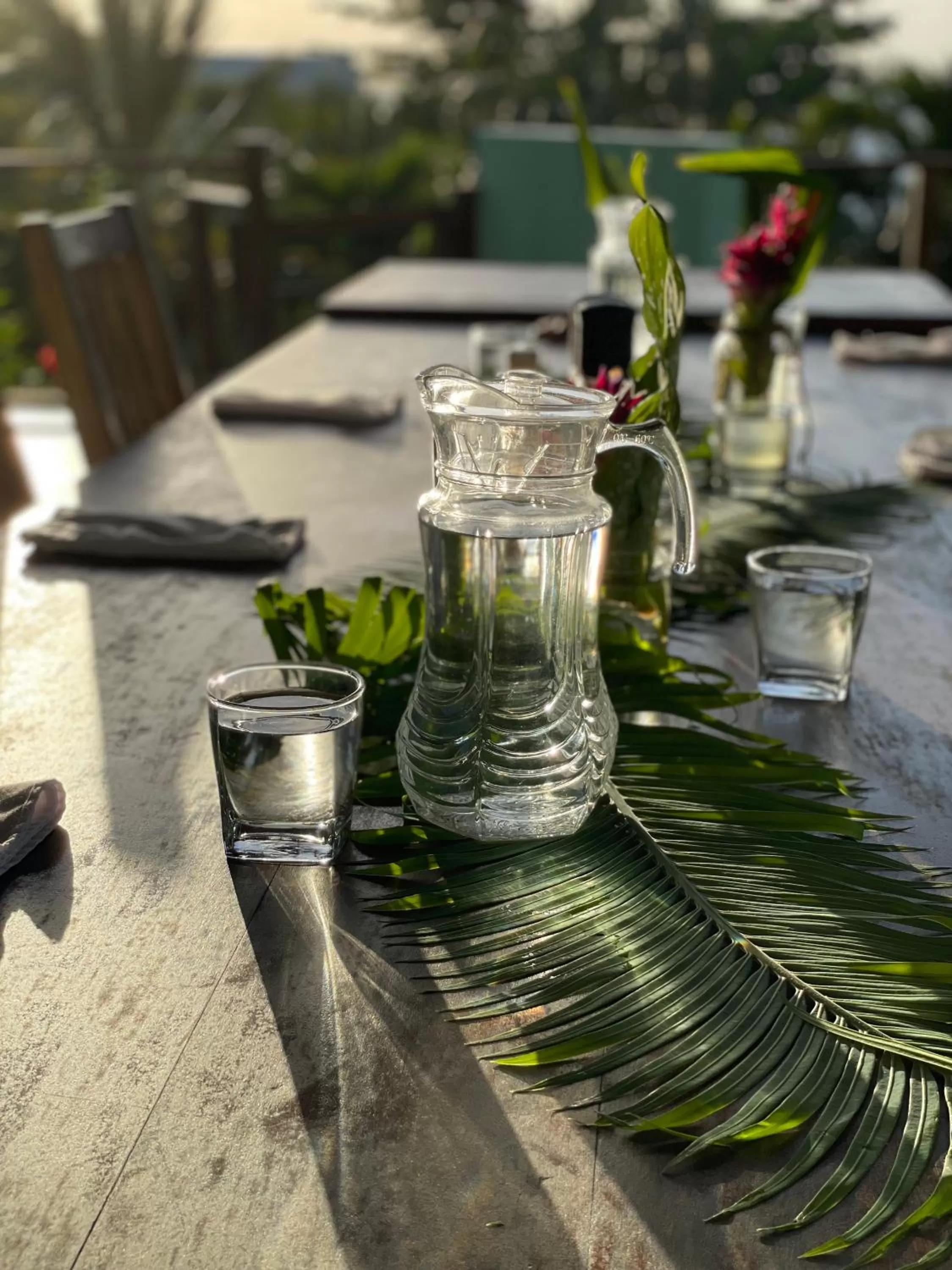 Restaurant/places to eat in Bird Island Bungalows