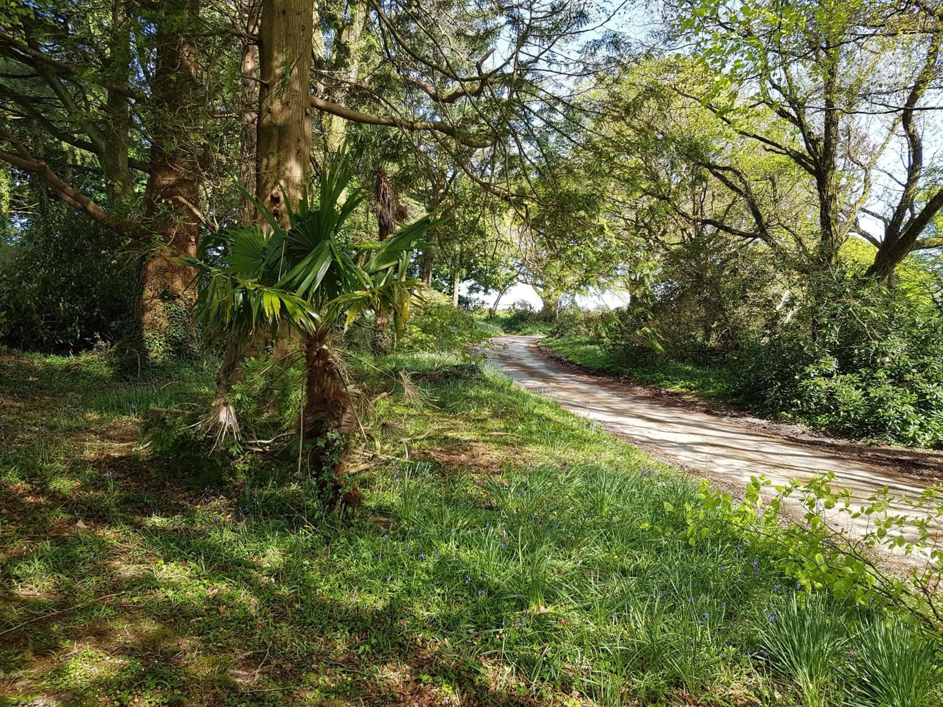 View (from property/room) in Great Trethew Hotel - Self Catering Lodges - Bar & Restaurant