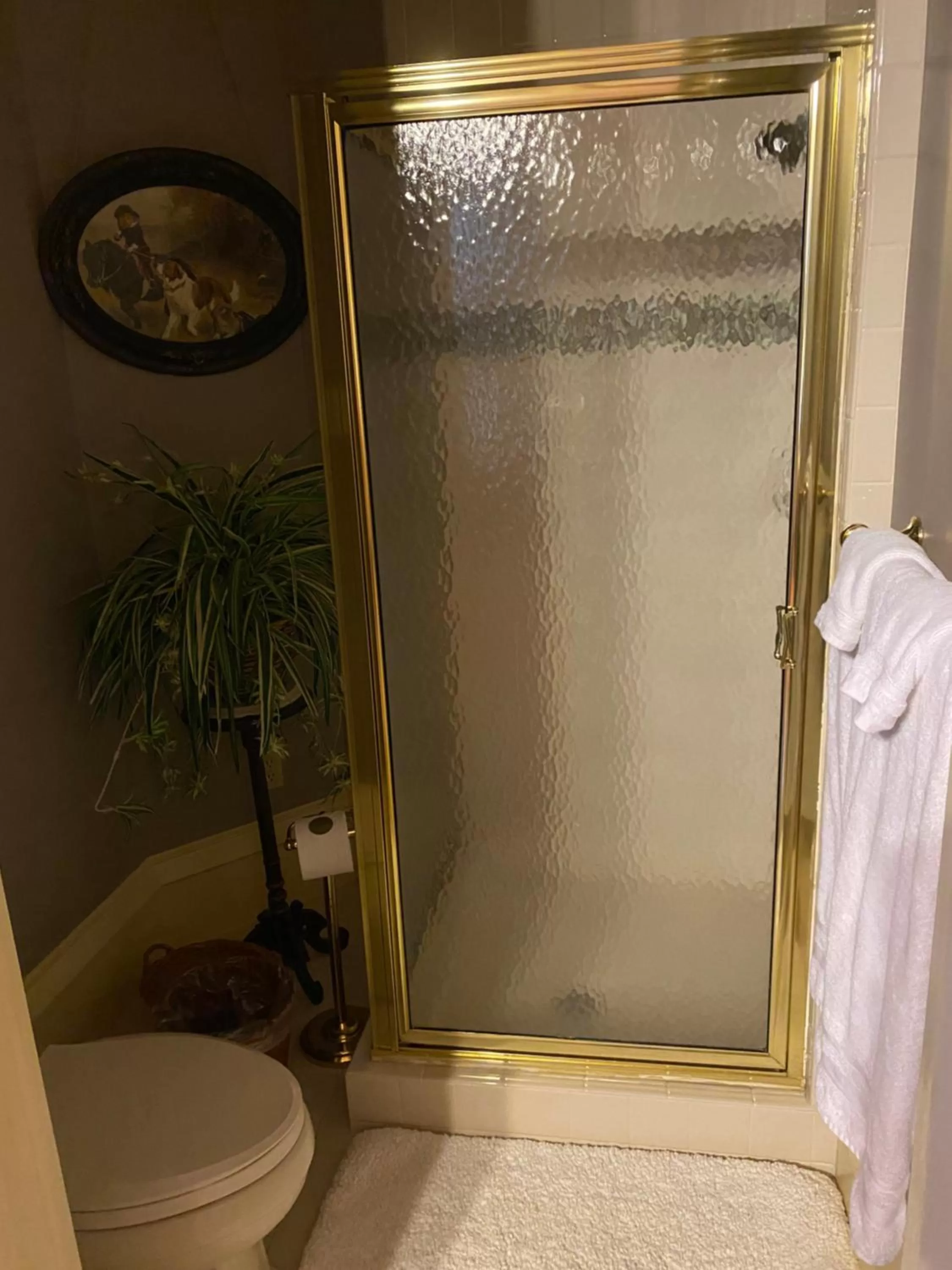 Shower in The Empress of Little Rock