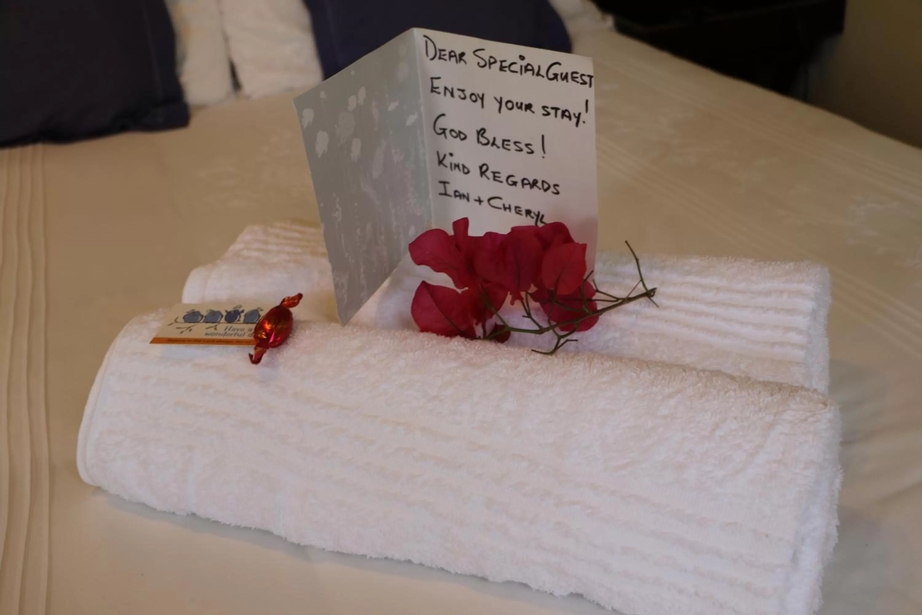 Bed in Forword's River Lodge