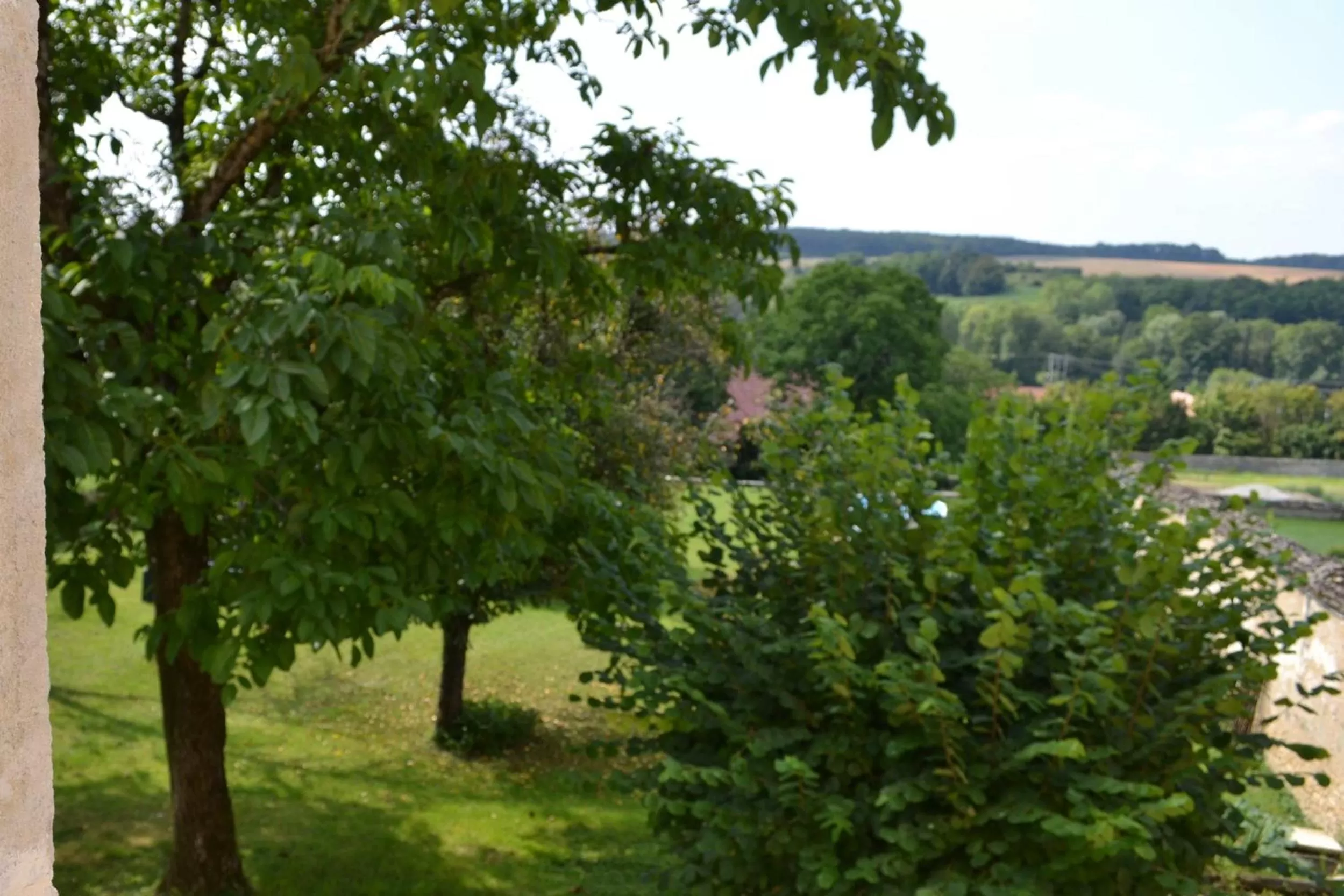 Garden in Chambres d'Hôtes Le Moulin à Epices